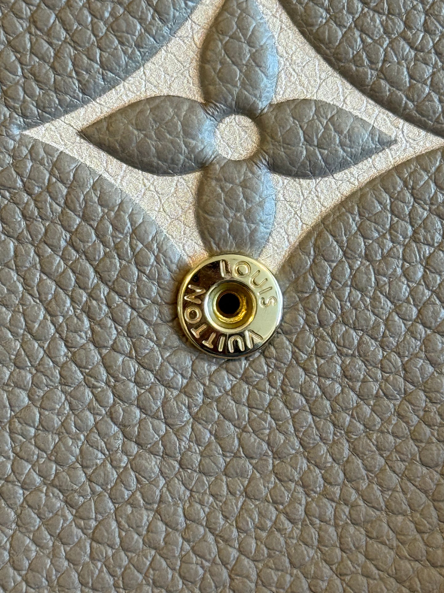 Louis Vuitton Victorine Bicolor Dove/Creme