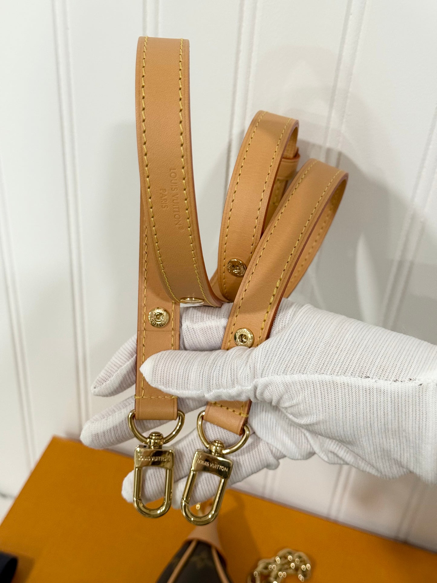 Louis Vuitton Loop PM Mono