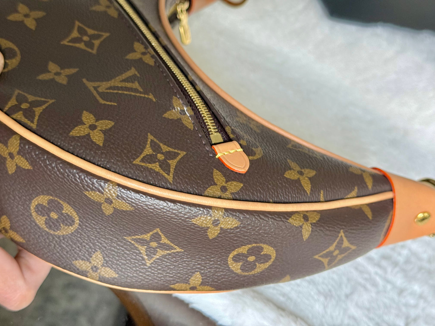 Louis Vuitton Loop PM Mono