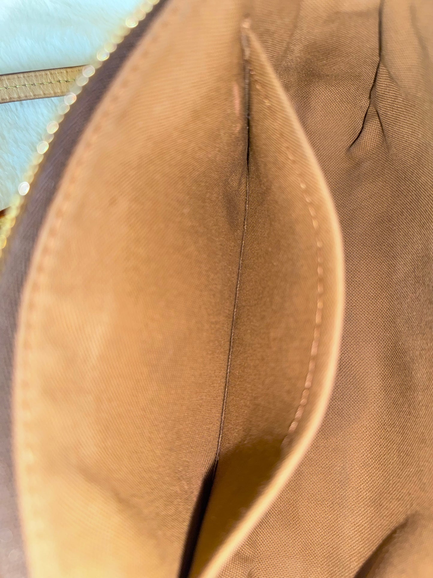 Louis Vuitton Pochette Accessoires New Model Mono