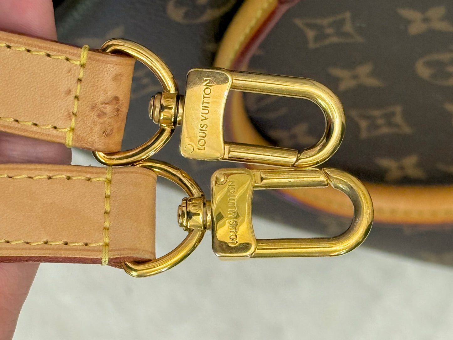 Louis Vuitton Turenne MM Mono