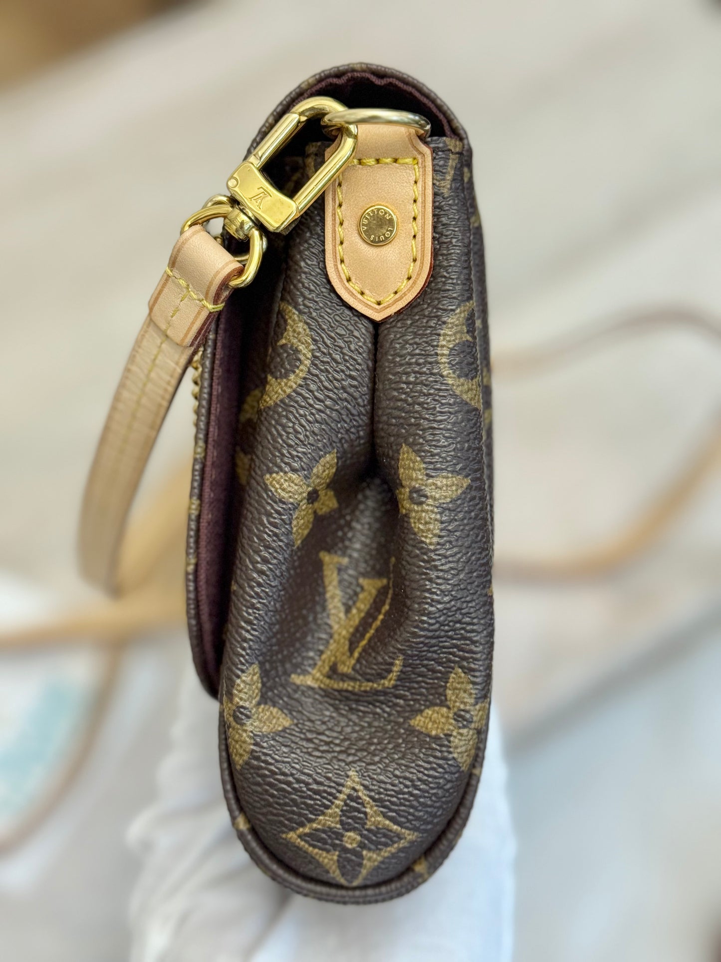 Louis Vuitton Favorite MM Mono