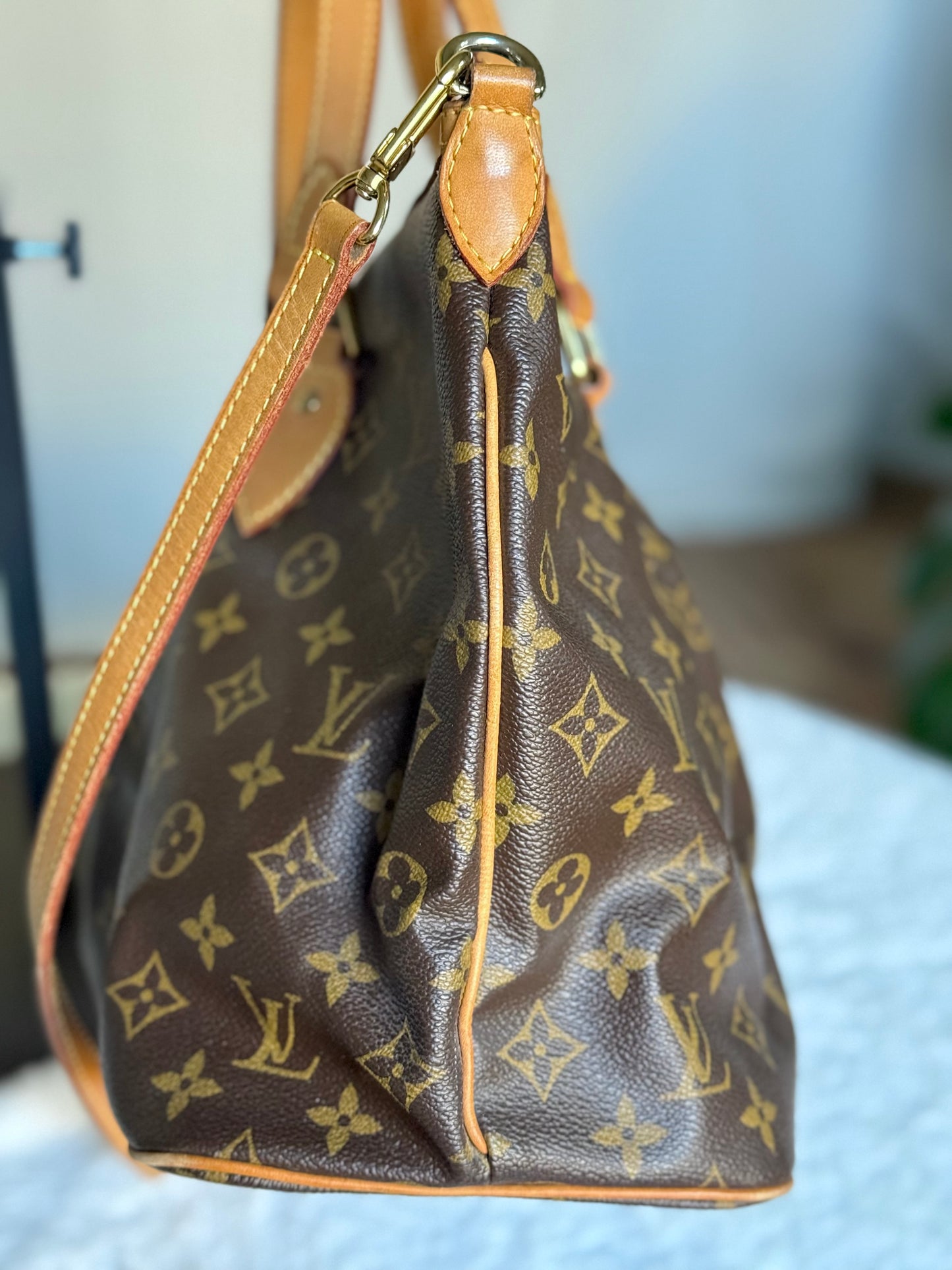 Louis Vuitton Palermo PM Mono