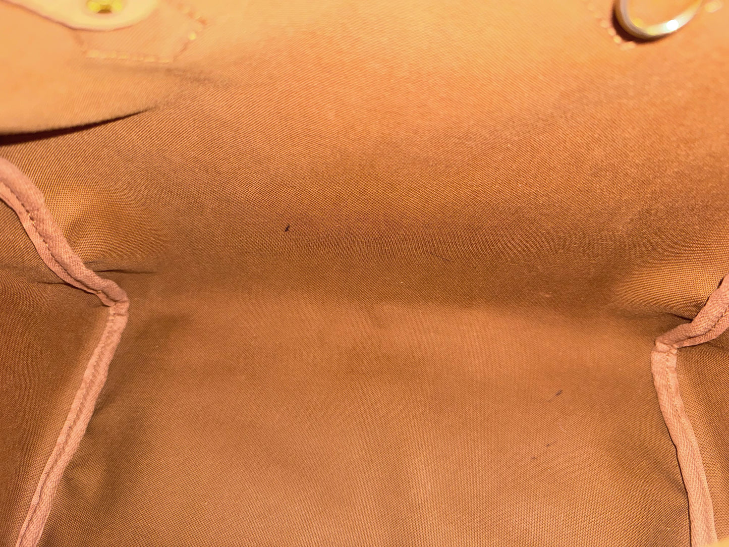 Louis Vuitton Speedy 30 Mono