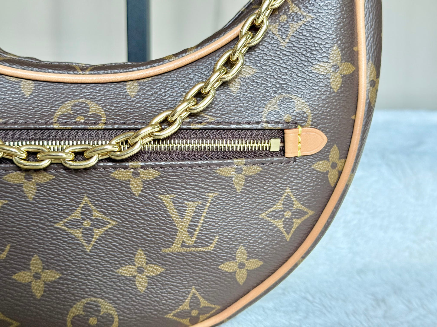 Louis Vuitton Loop PM Mono