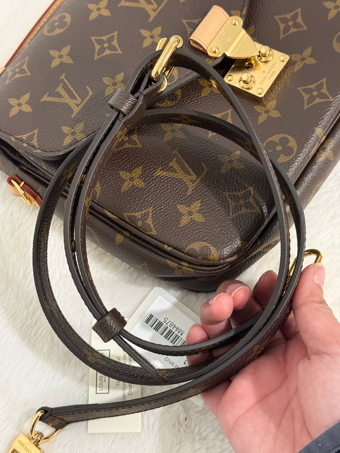 Louis Vuitton Pochette Metis Mono