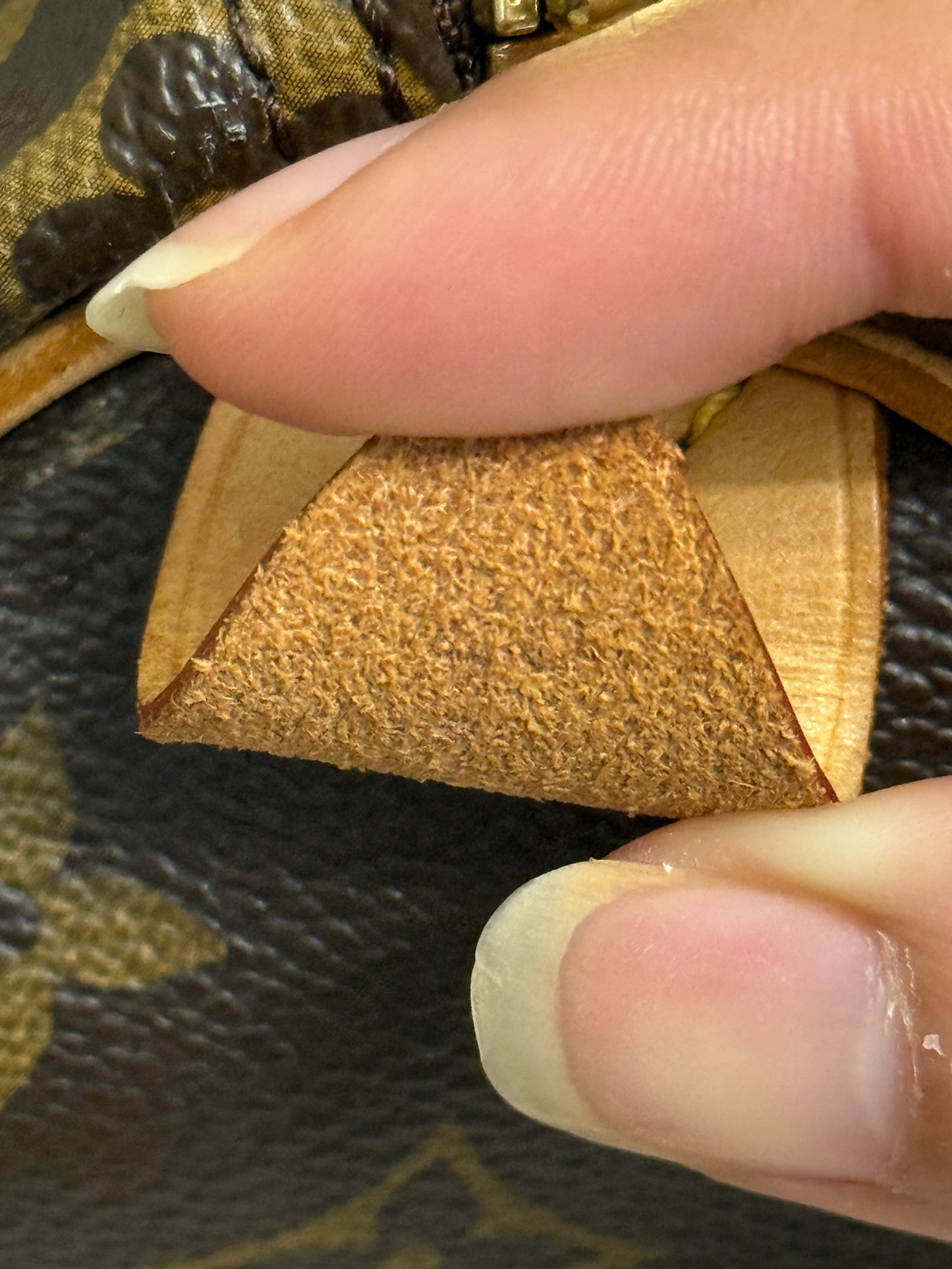 Louis Vuitton Speedy 25 Mono