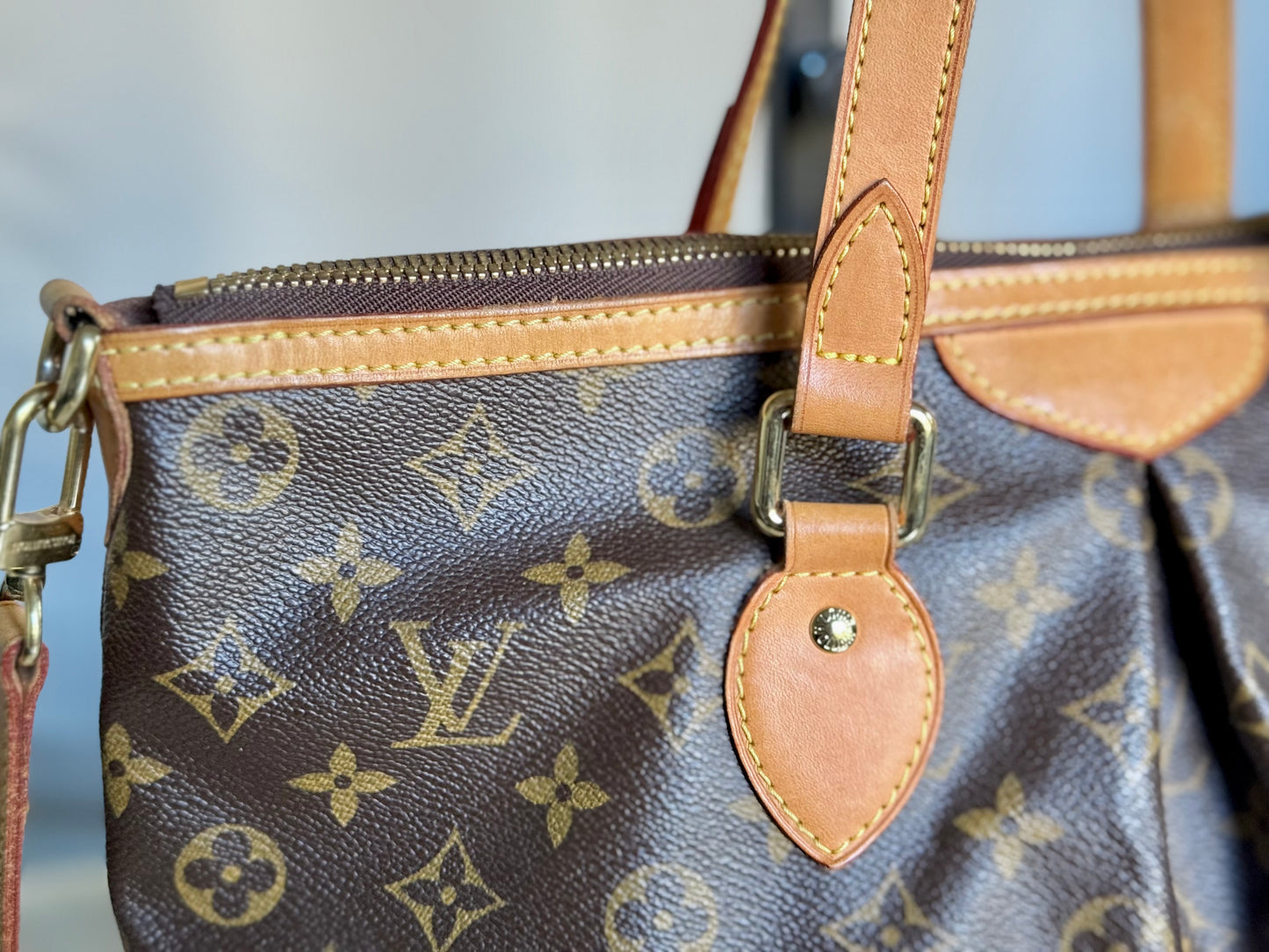 Louis Vuitton Palermo PM Mono