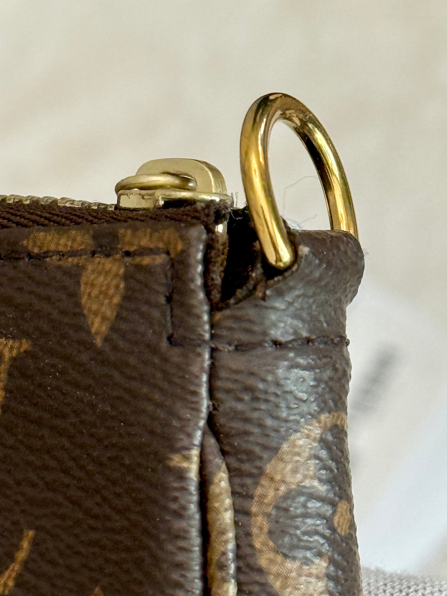 Louis Vuitton Pochette Accessoires New Model Mono