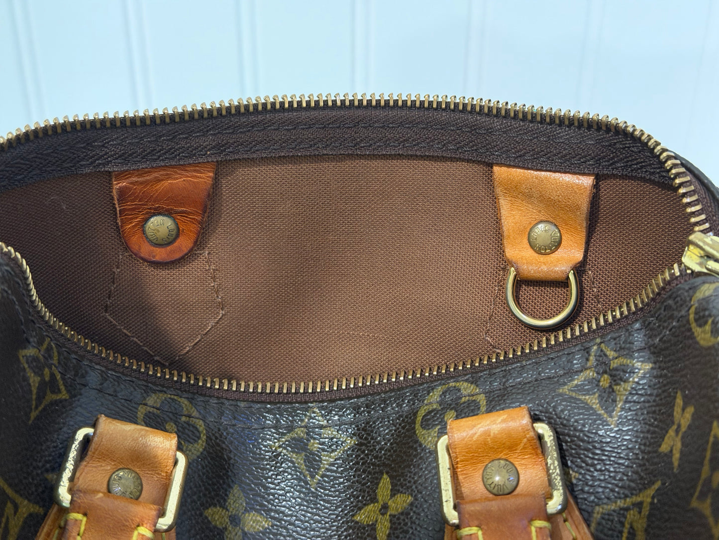 Louis Vuitton Speedy 25 Mono