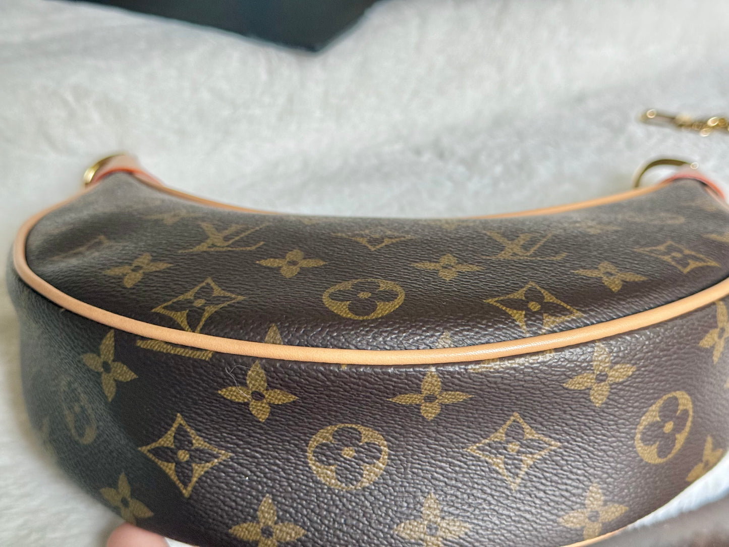 Louis Vuitton Loop PM Mono