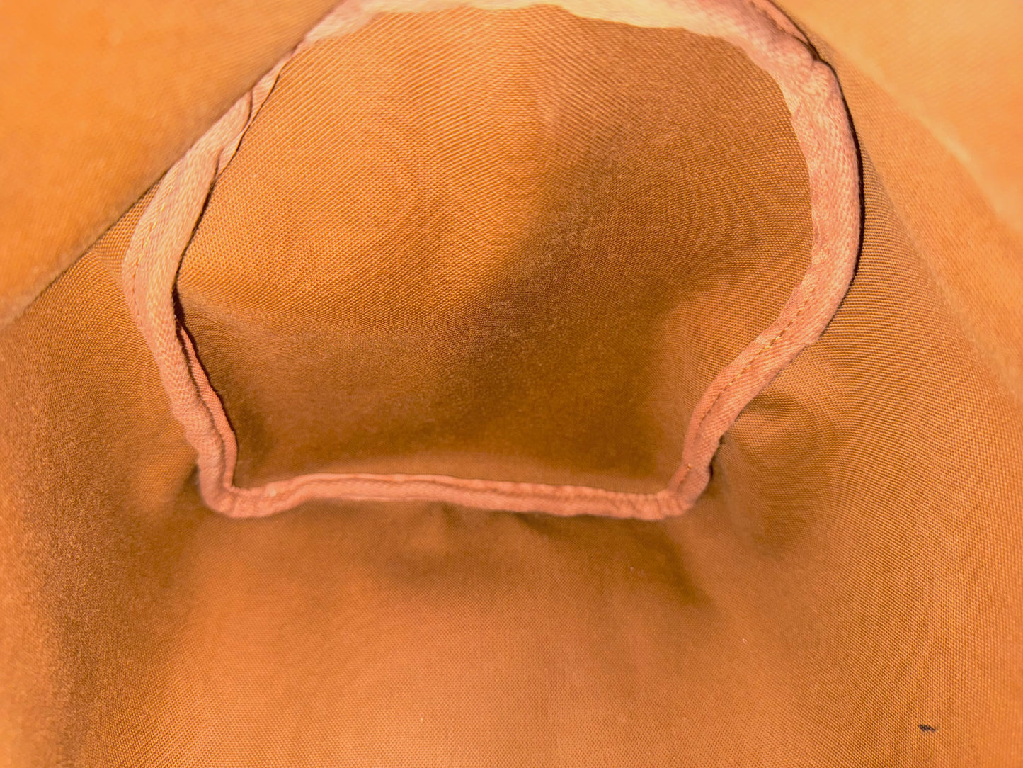 Louis Vuitton Speedy 30 Mono