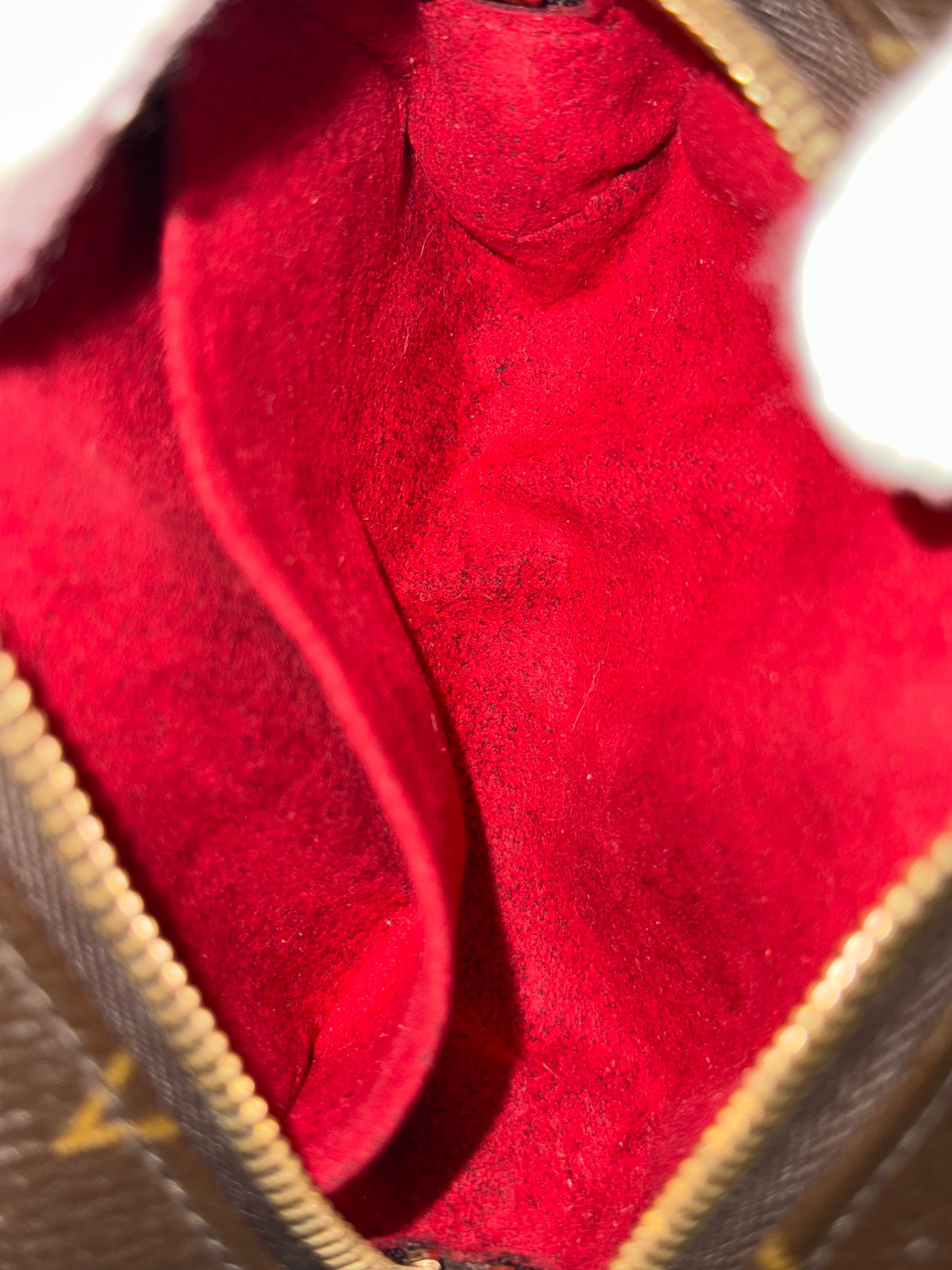 Louis Vuitton Wapity Mono Pouch