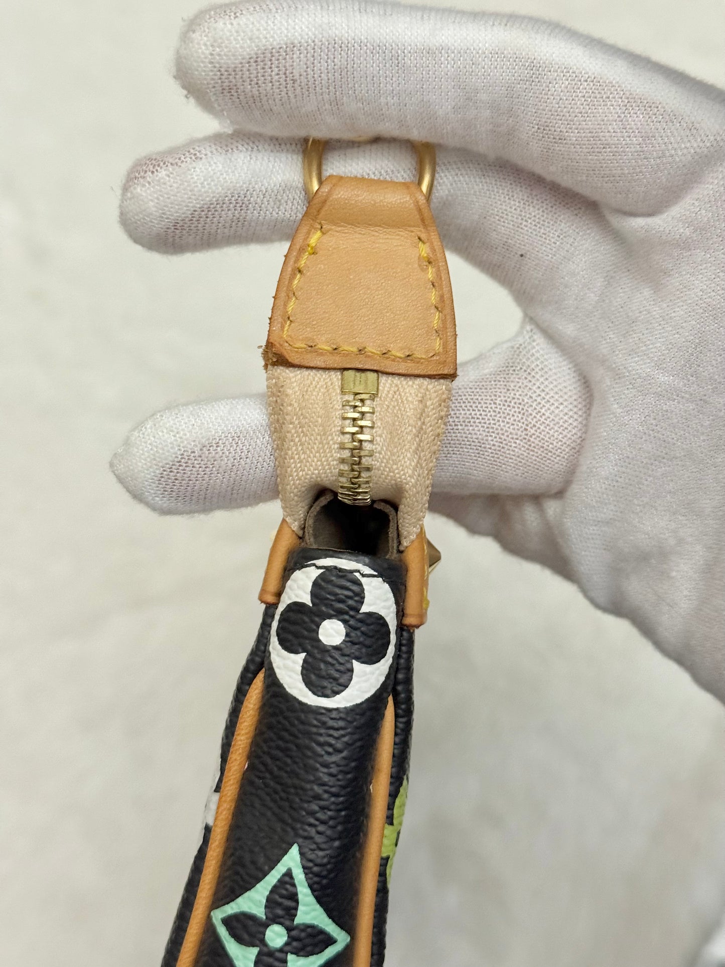 Louis Vuitton Pochette Accessoires Multicolore Noir/Black