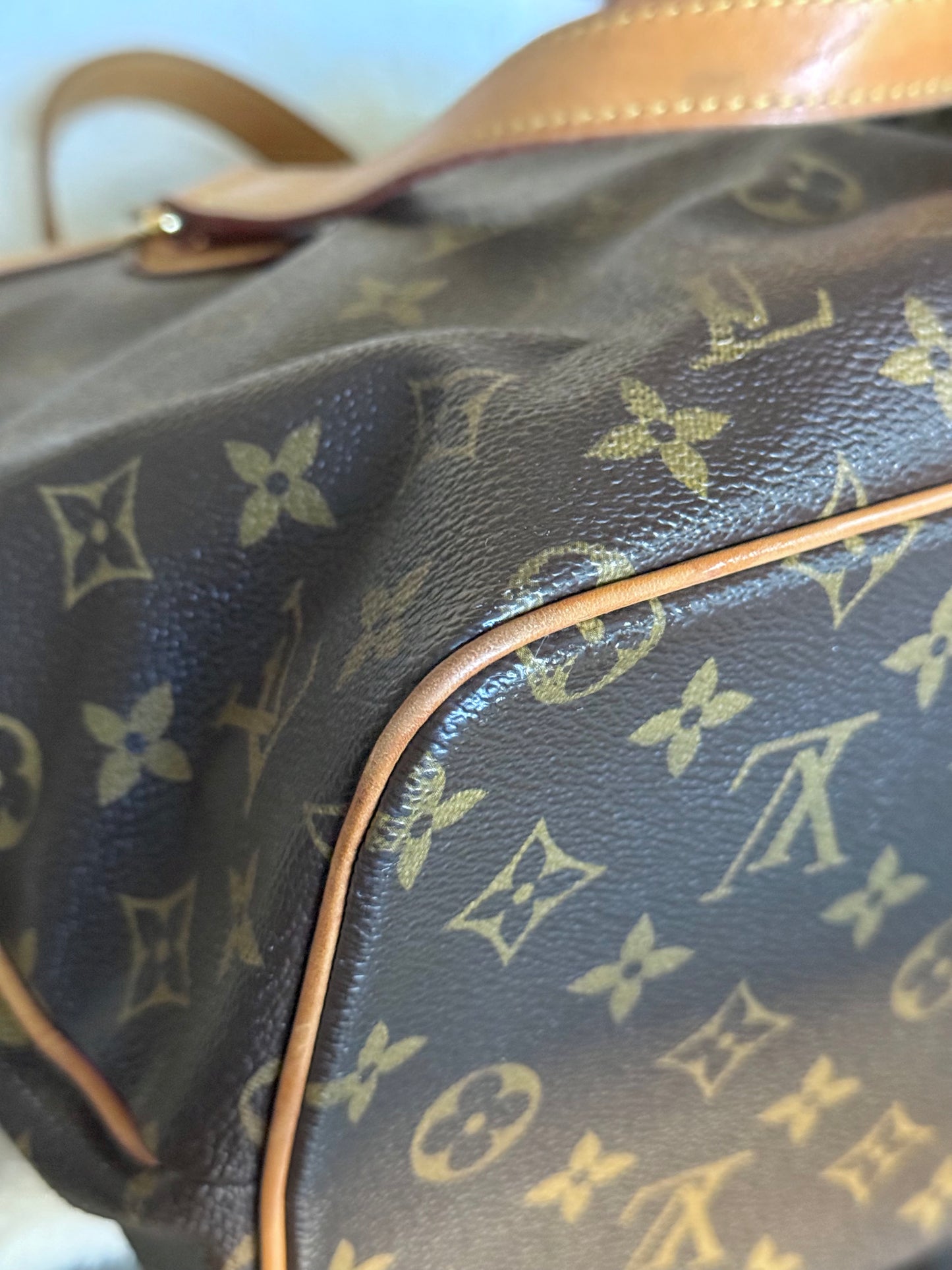 Louis Vuitton Palermo PM Mono