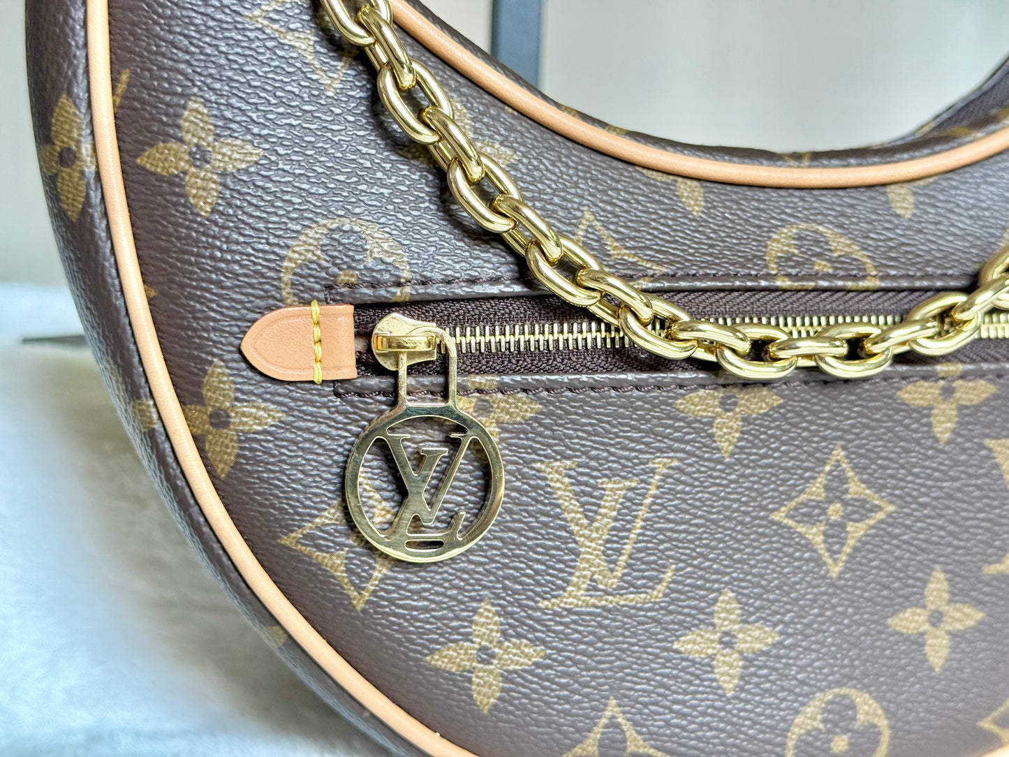 Louis Vuitton Loop PM Mono