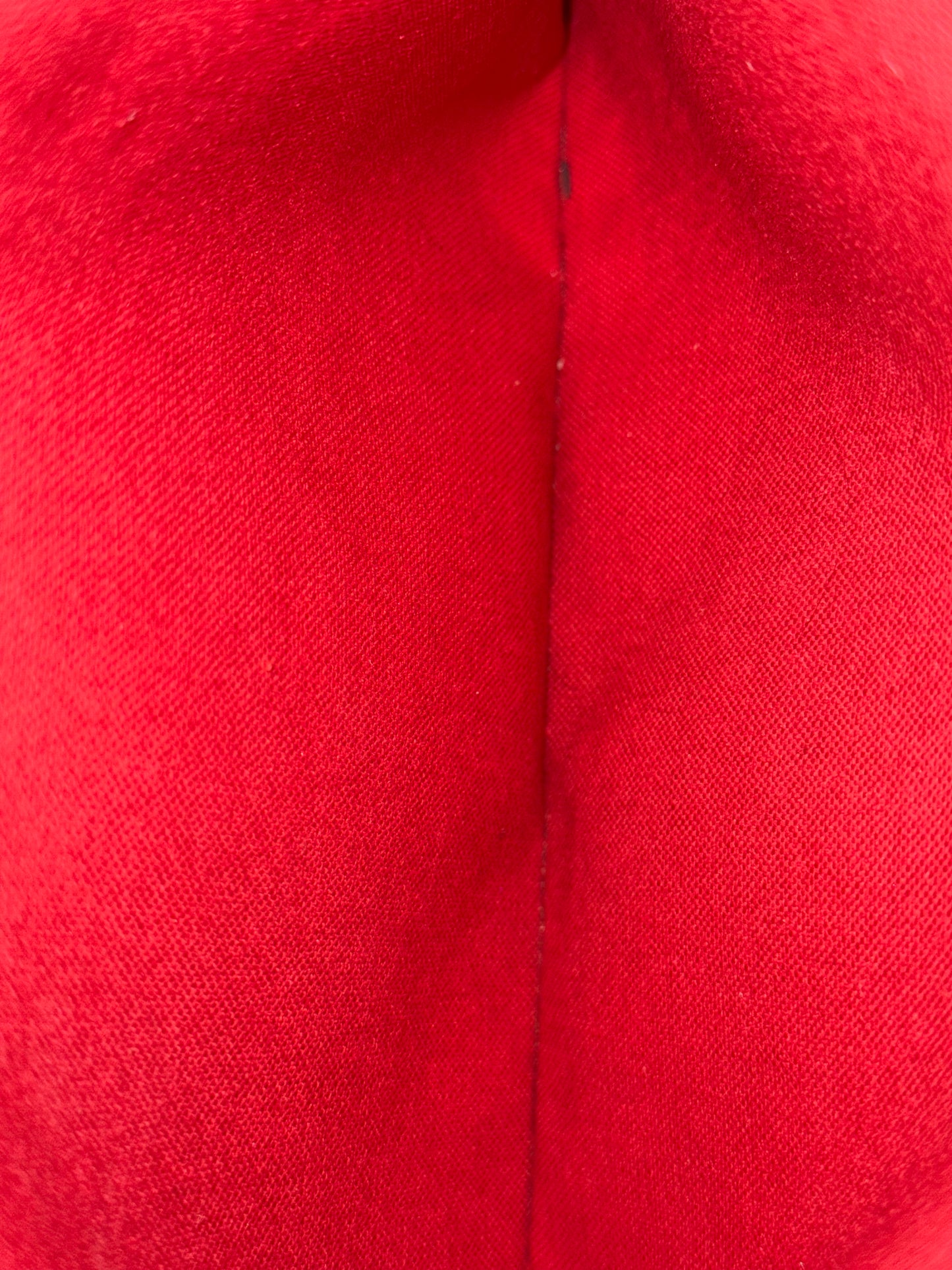 Louis Vuitton Neverfull MM Mono Cerise