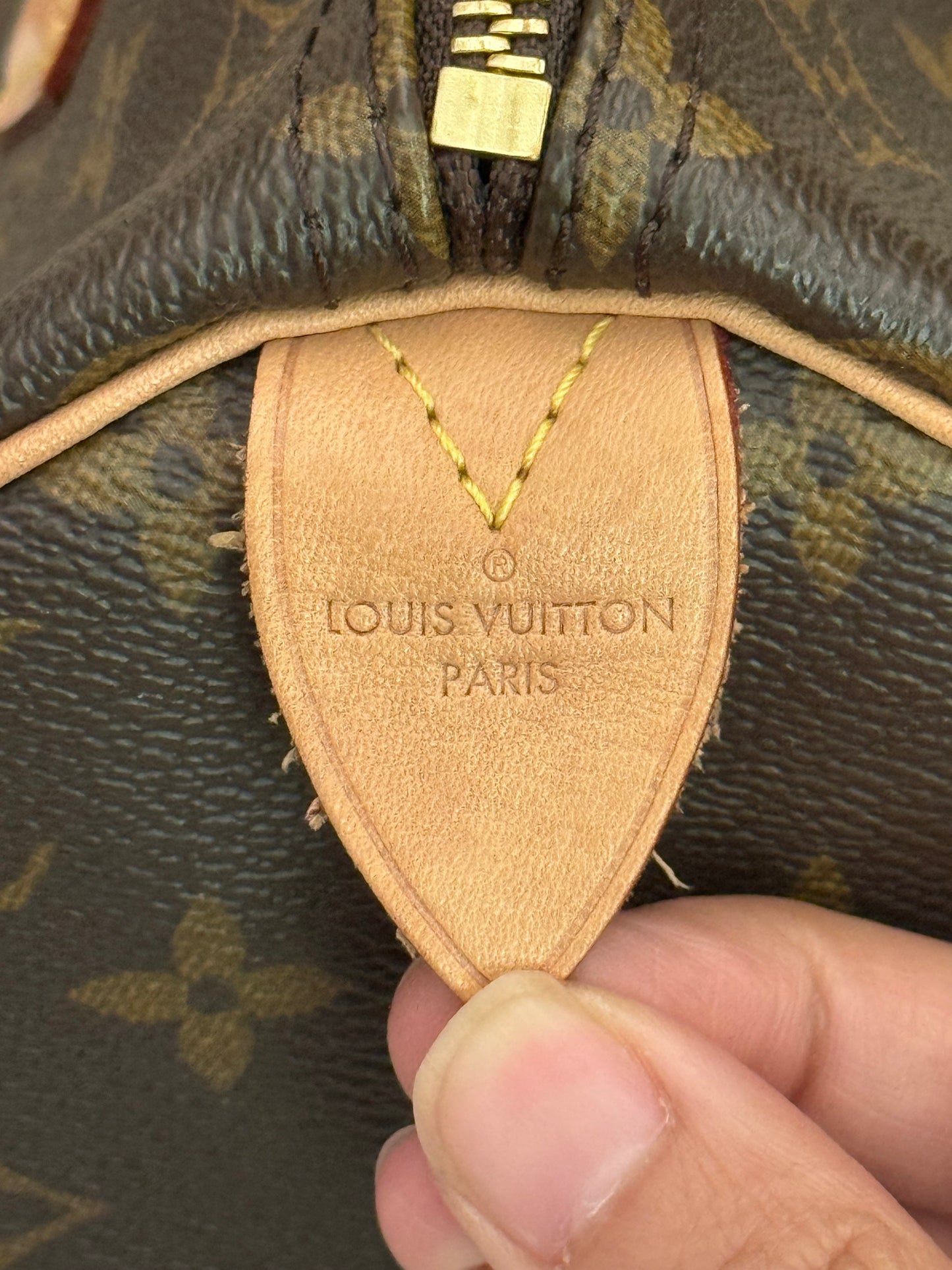 Louis Vuitton Speedy 30 Mono