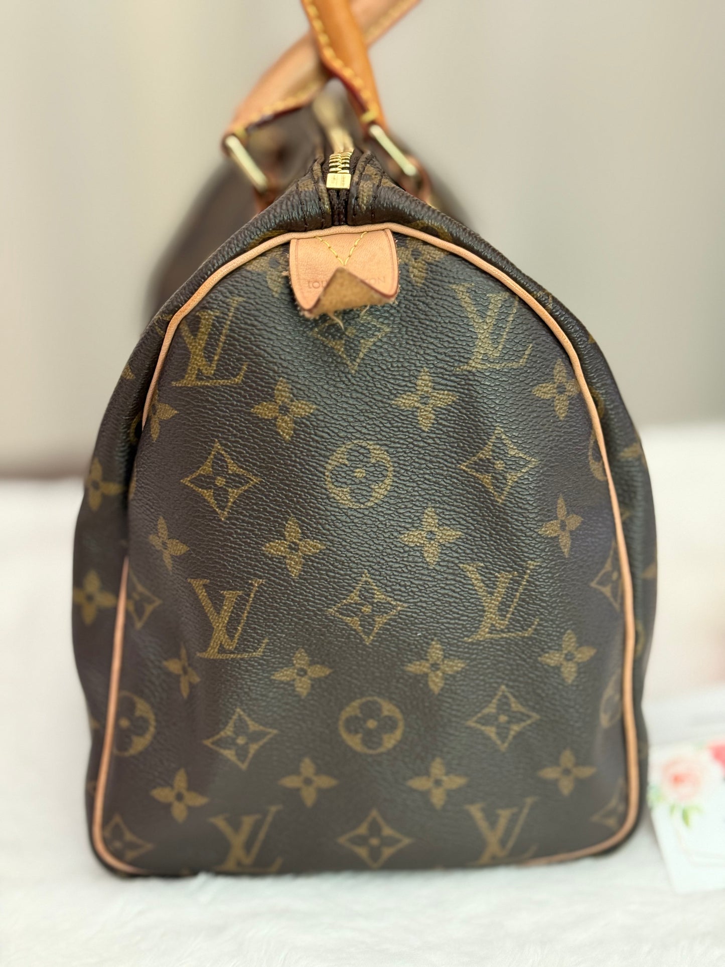 Louis Vuitton Speedy 30 Mono