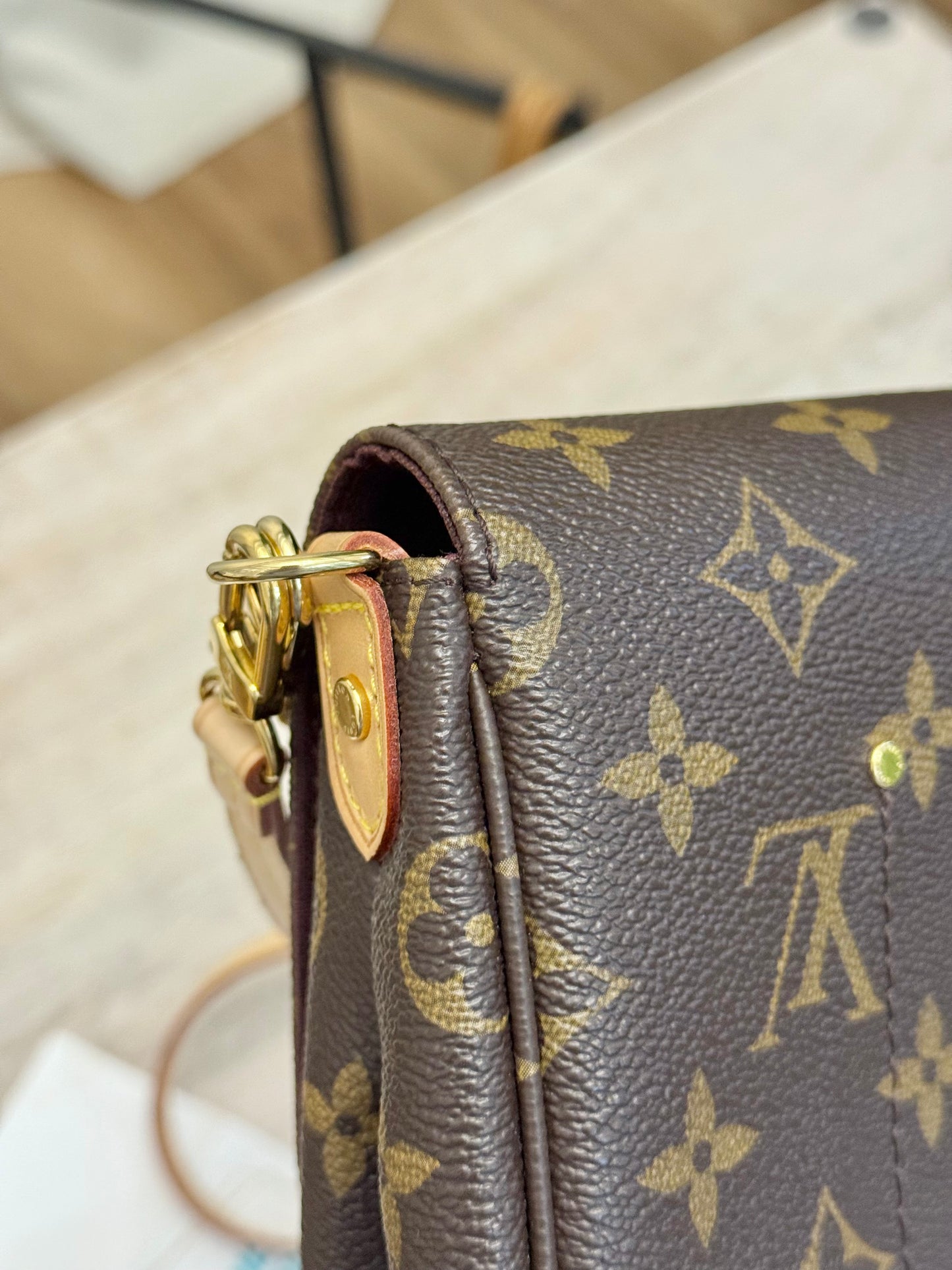 Louis Vuitton Favorite MM Mono