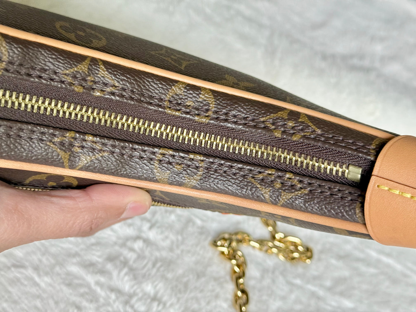 Louis Vuitton Loop PM Mono