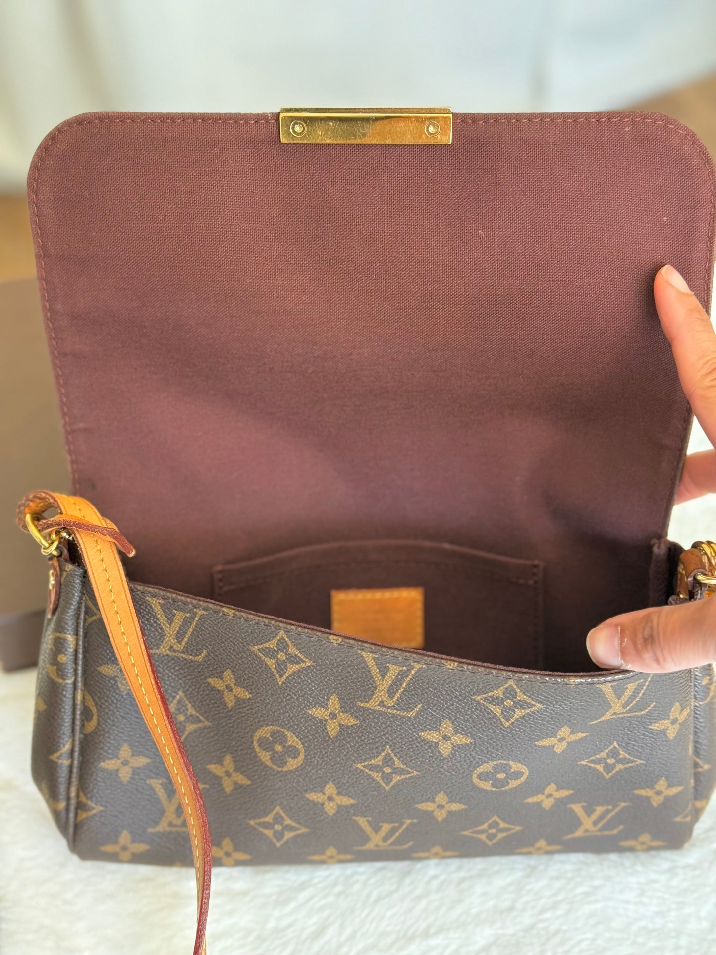 Louis Vuitton Favorite MM Mono
