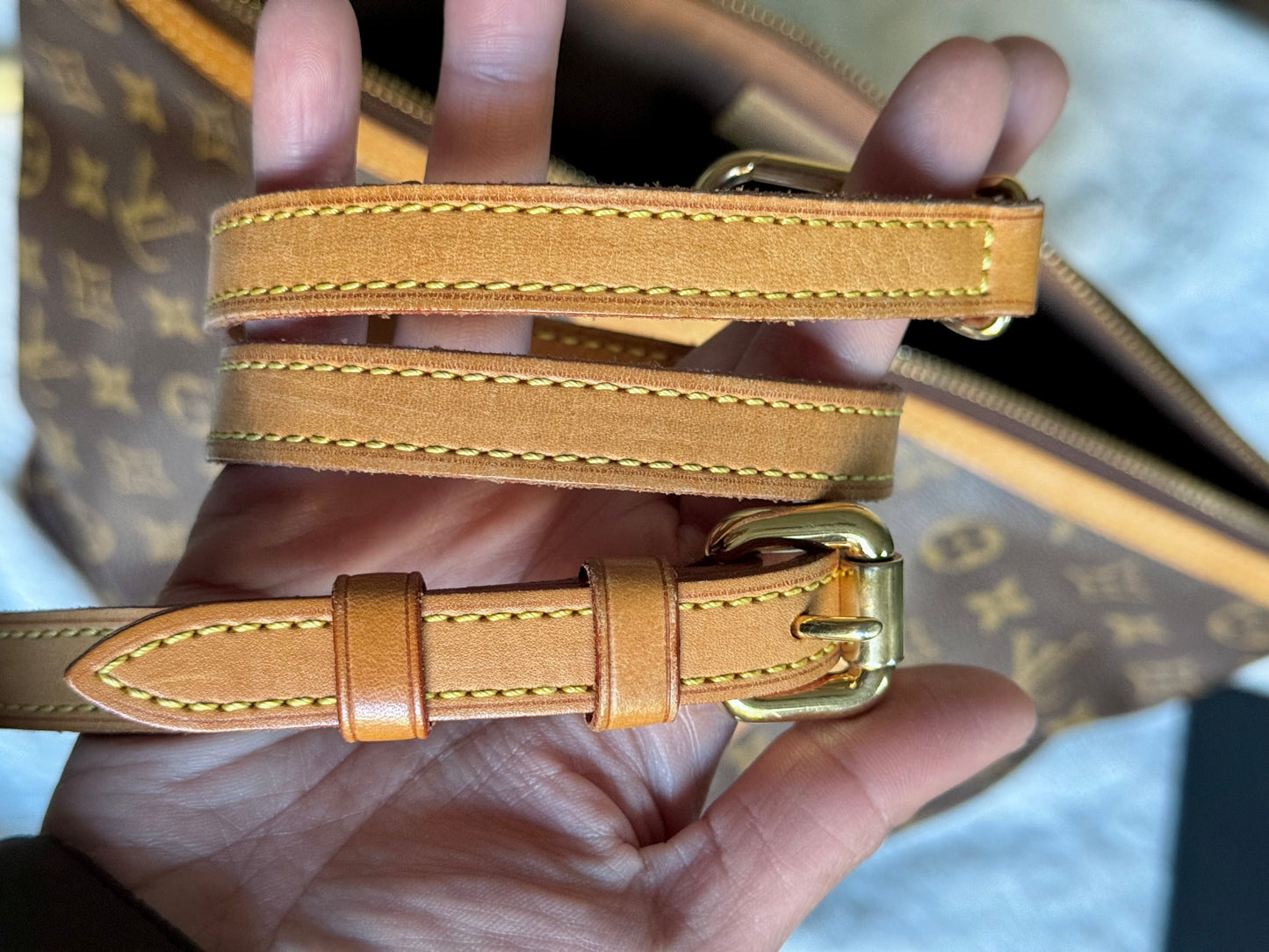 Louis Vuitton Palermo PM Mono