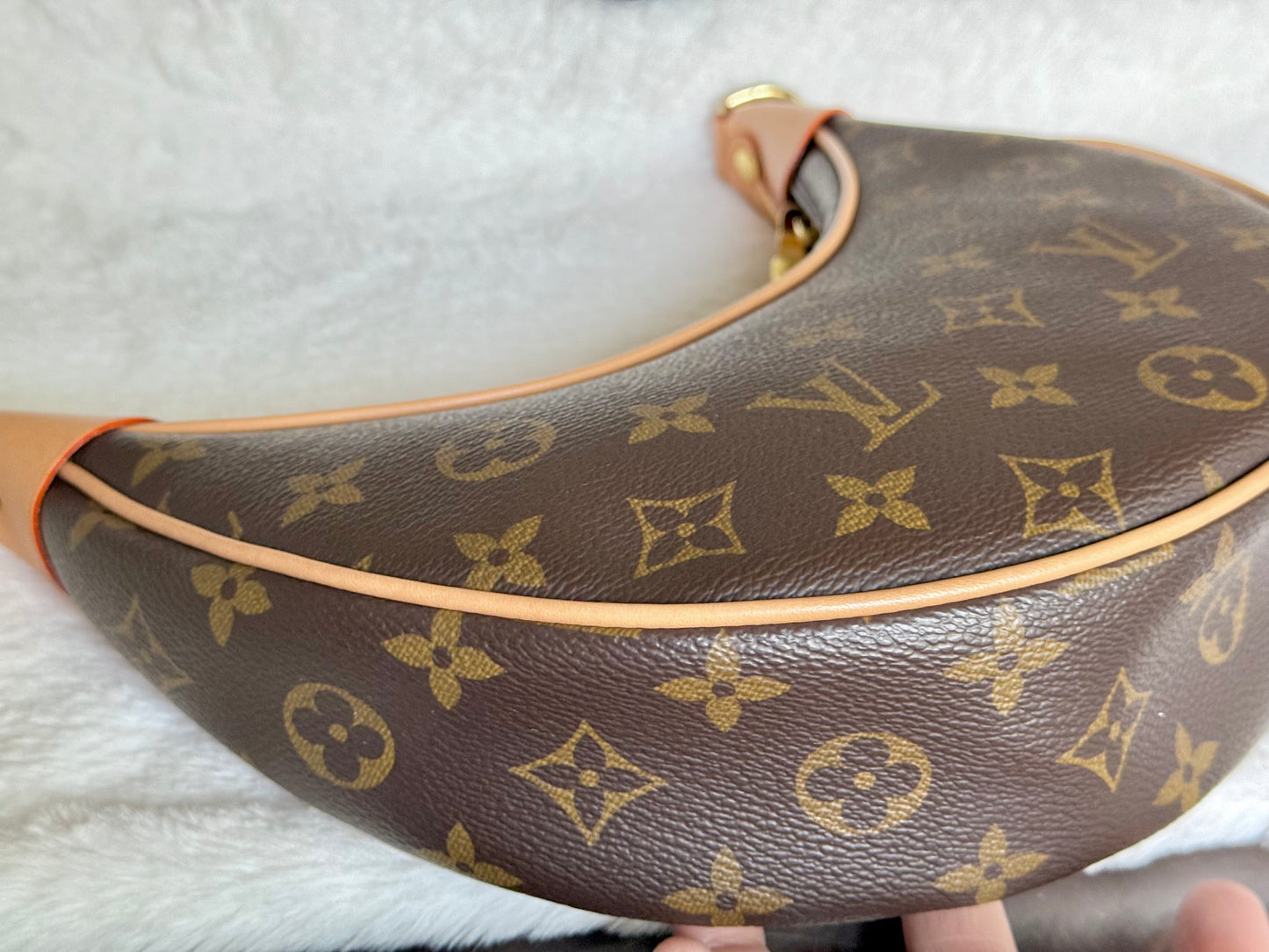 Louis Vuitton Loop PM Mono
