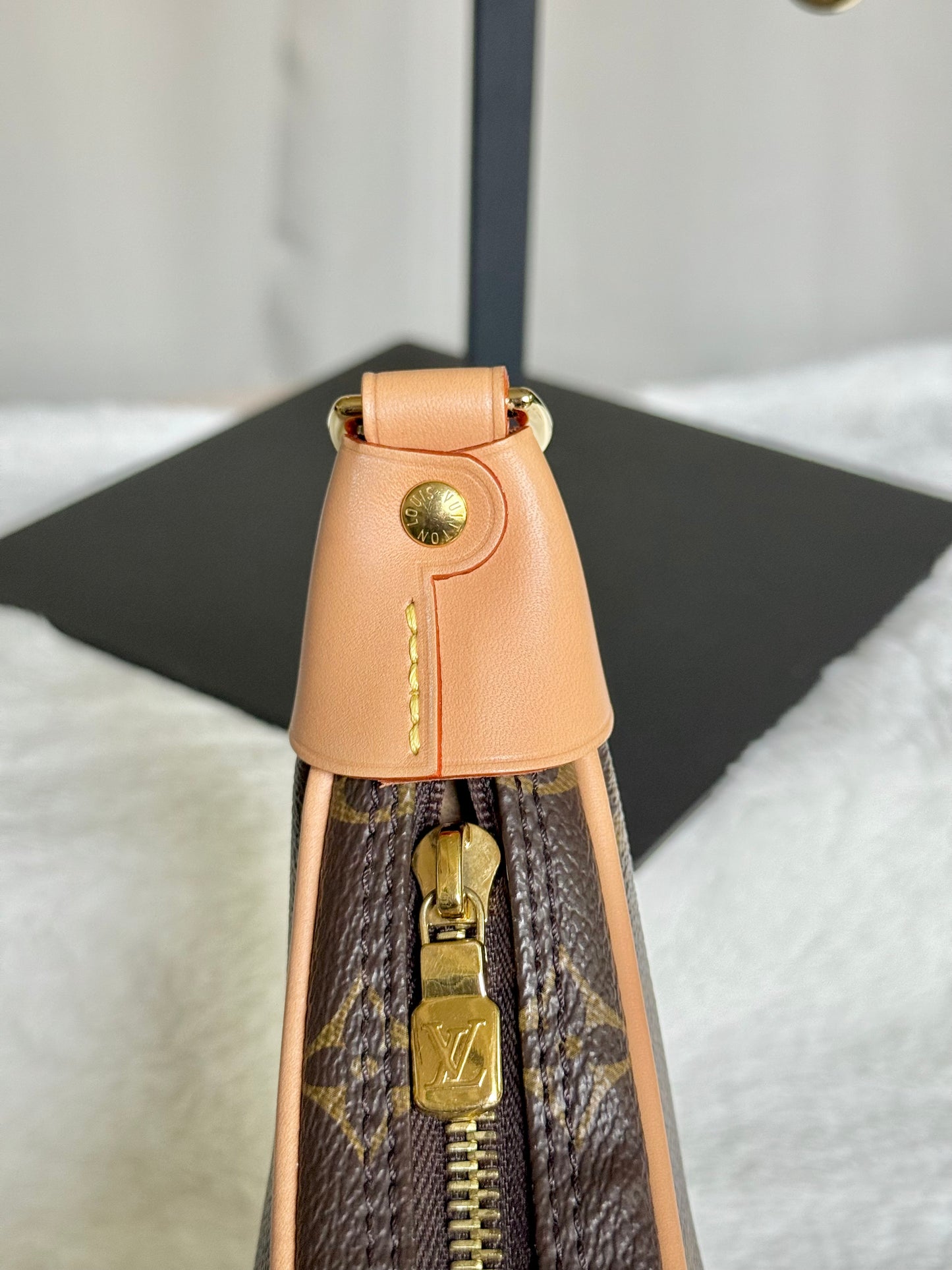 Louis Vuitton Loop PM Mono