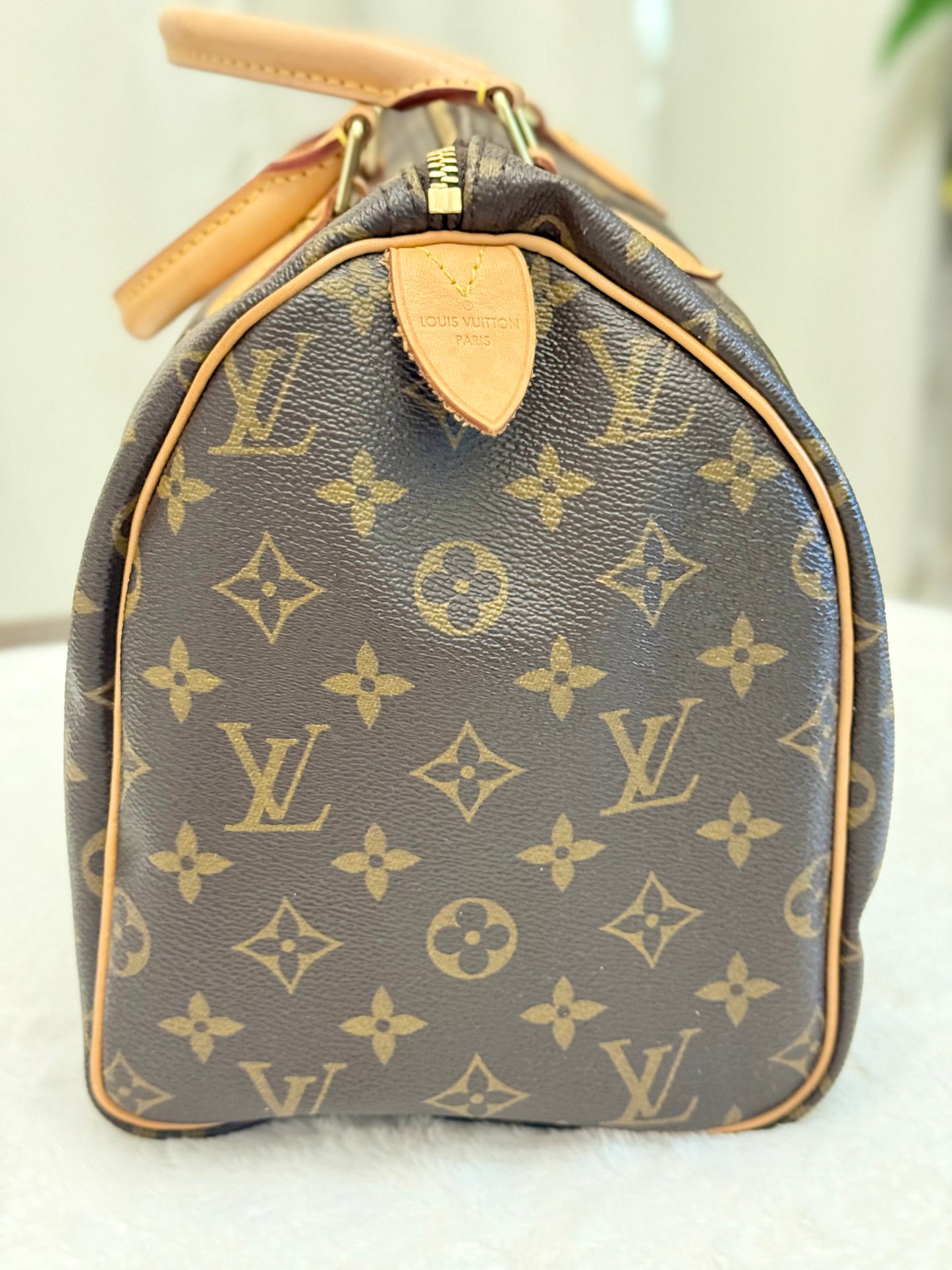 Louis Vuitton Speedy 30 Mono
