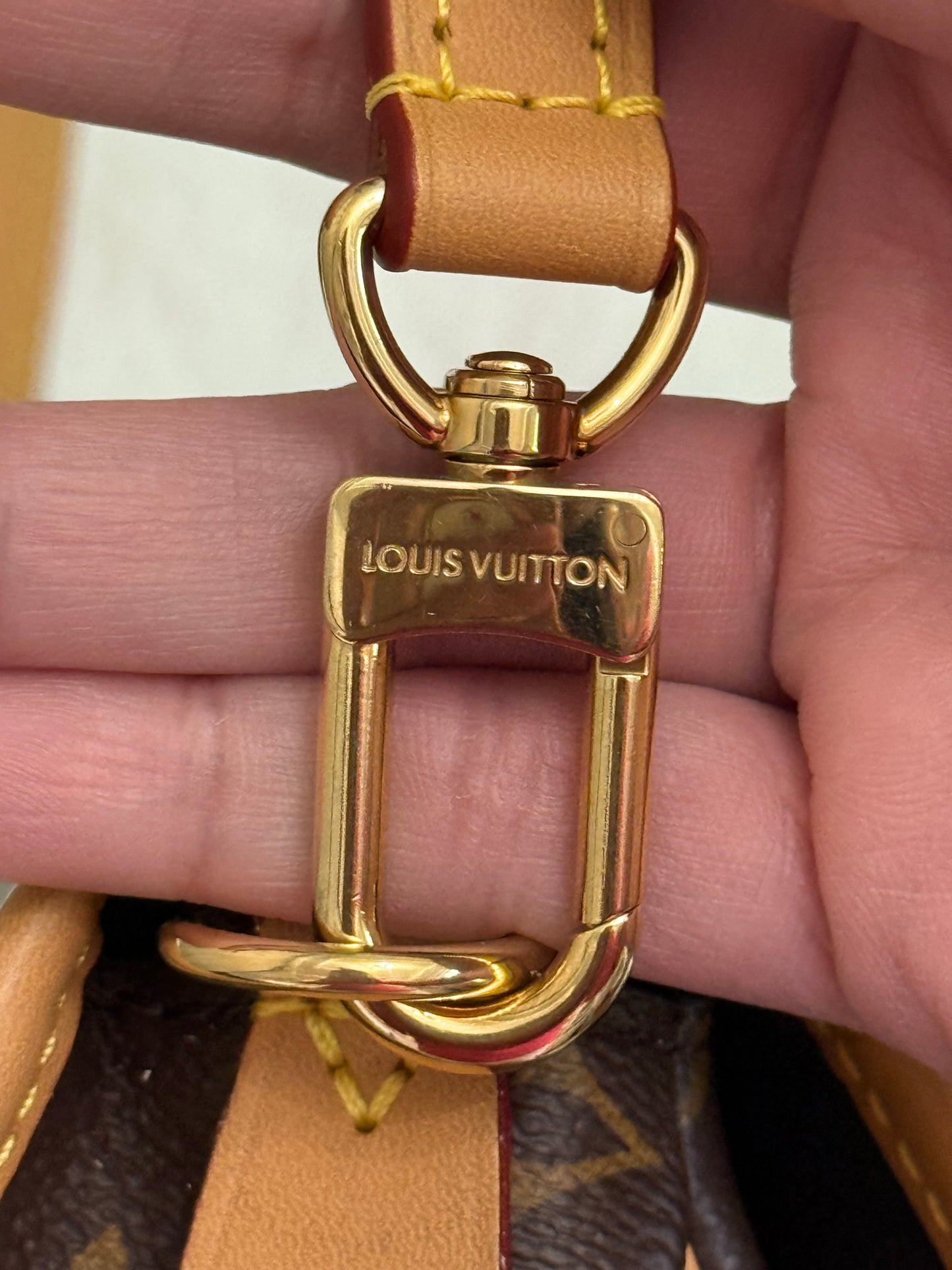 Louis Vuitton Diane Mono