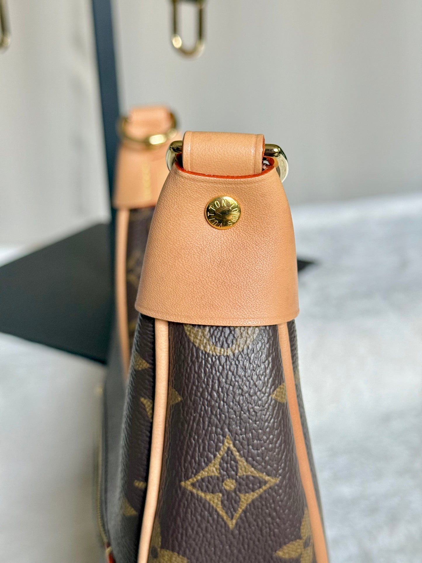 Louis Vuitton Loop PM Mono