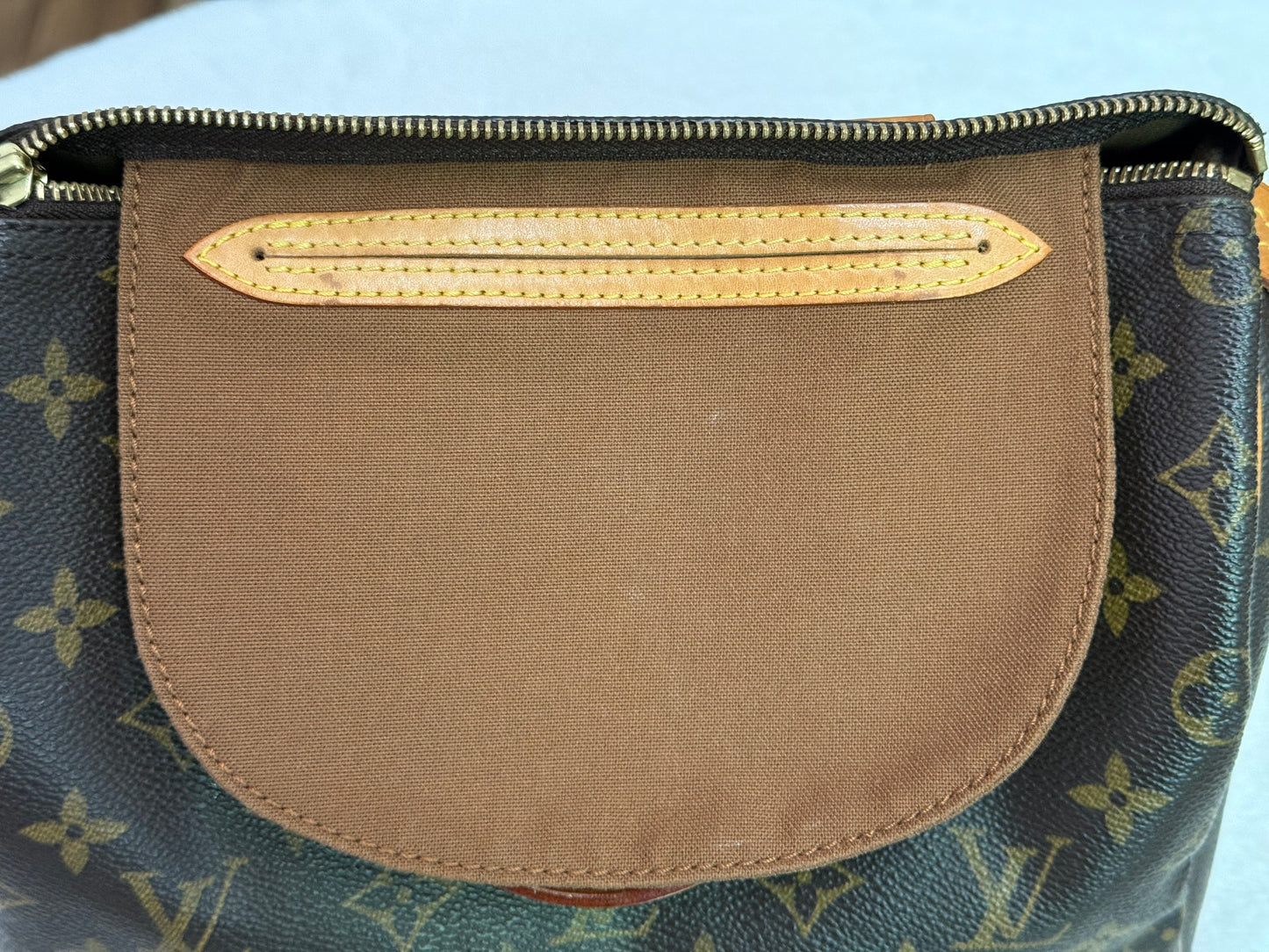 Louis Vuitton Speedy 25 Mono