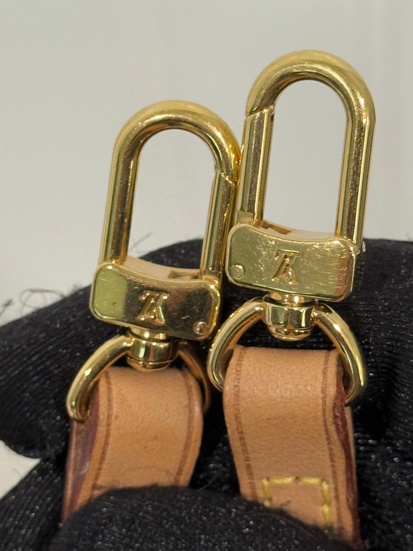 Louis Vuitton Twin Pochette GM Mono