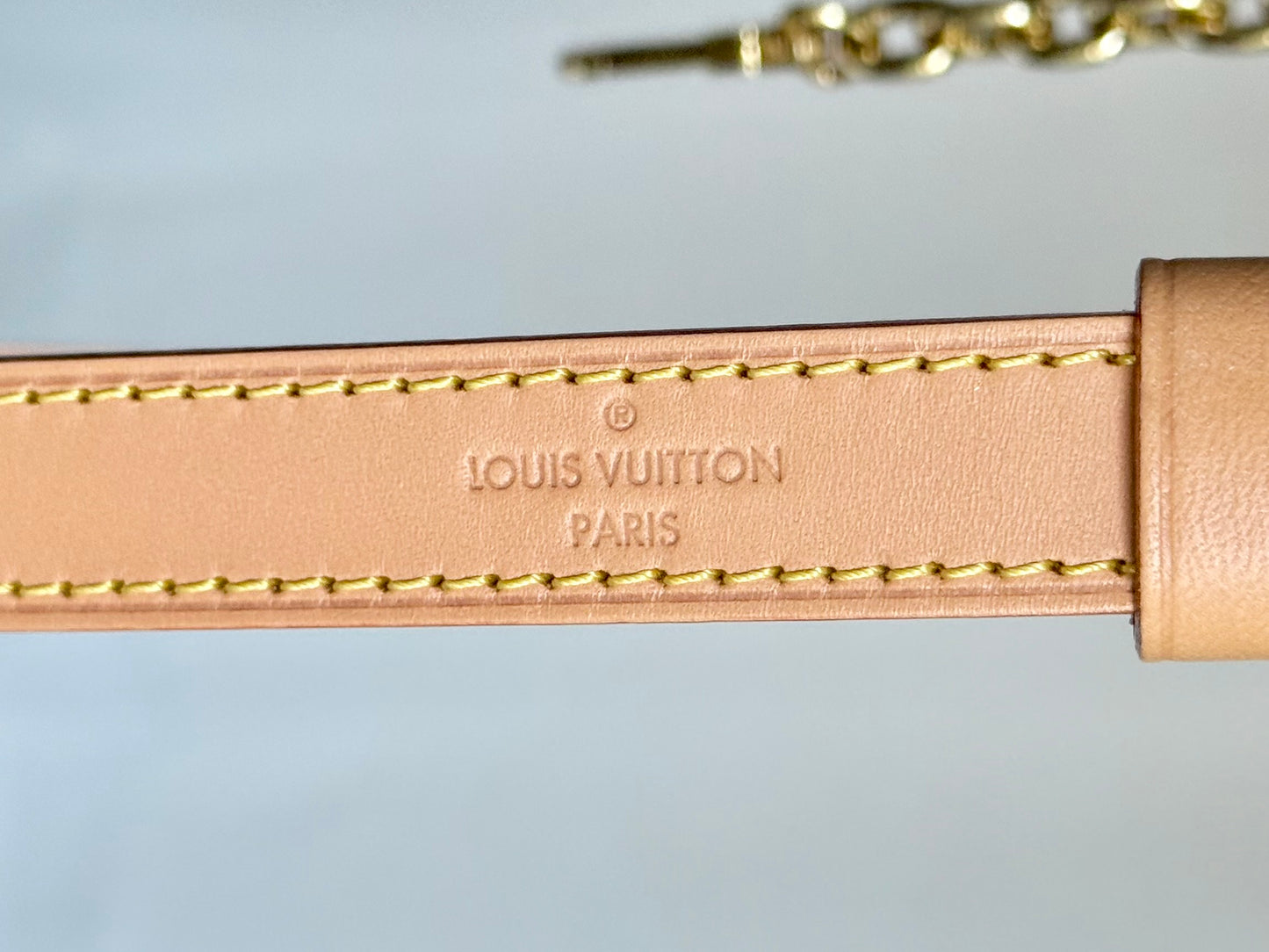 Louis Vuitton Loop PM Mono