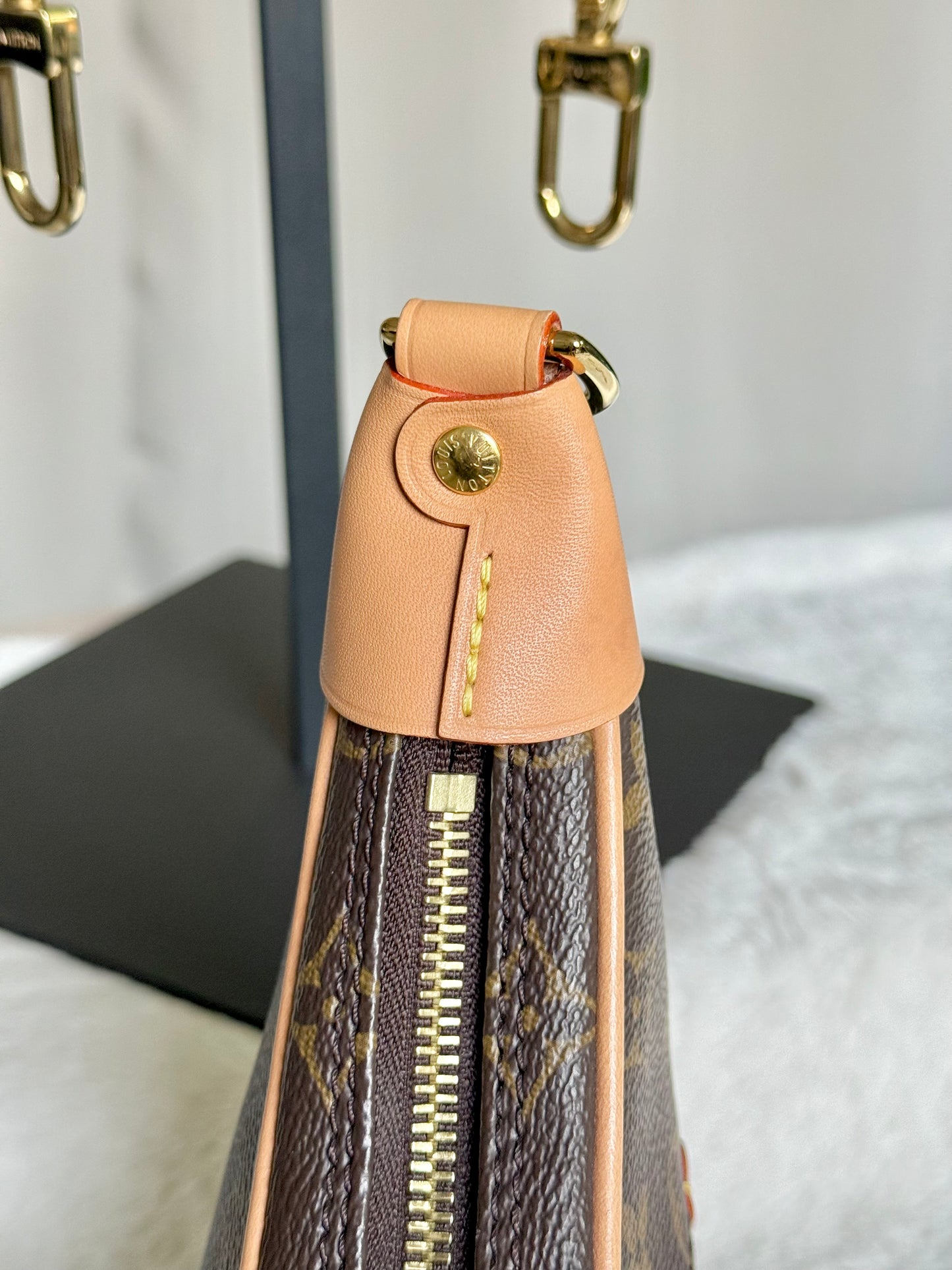 Louis Vuitton Loop PM Mono