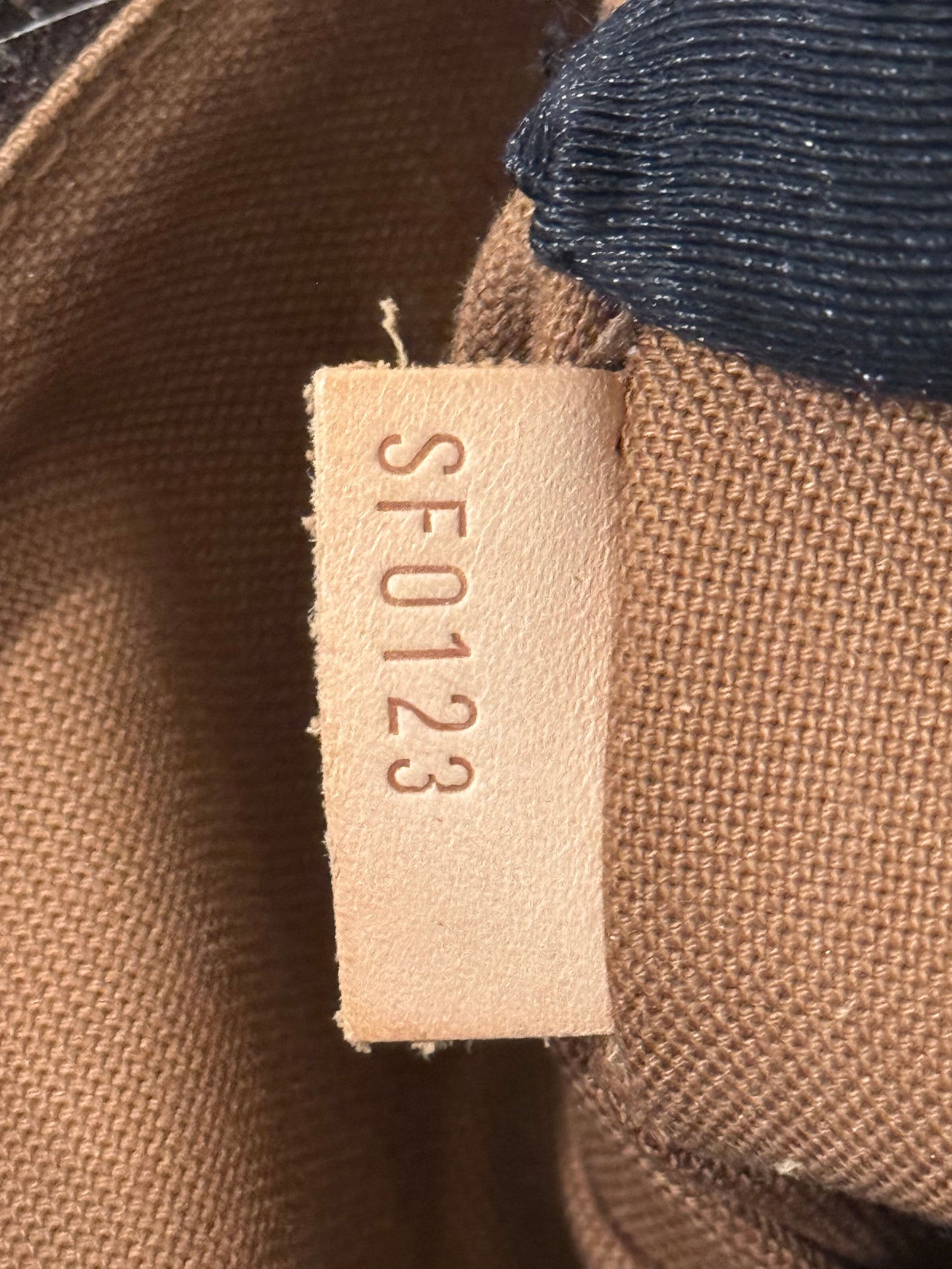 Louis Vuitton Odeon PM Mono