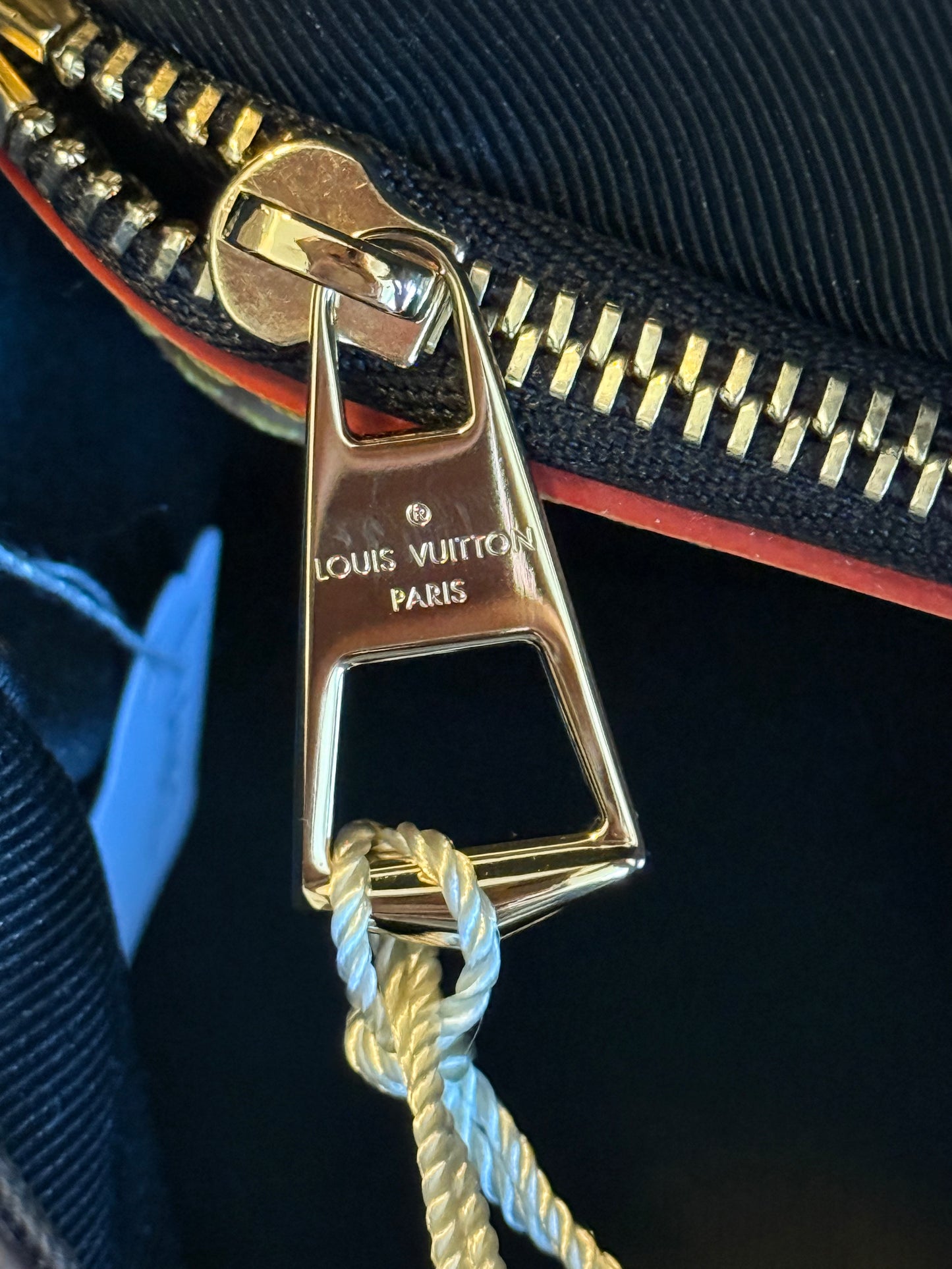 Louis Vuitton Diane Mono