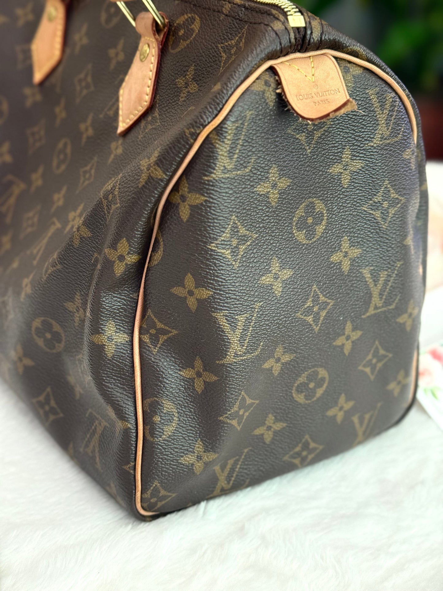 Louis Vuitton Speedy 30 Mono