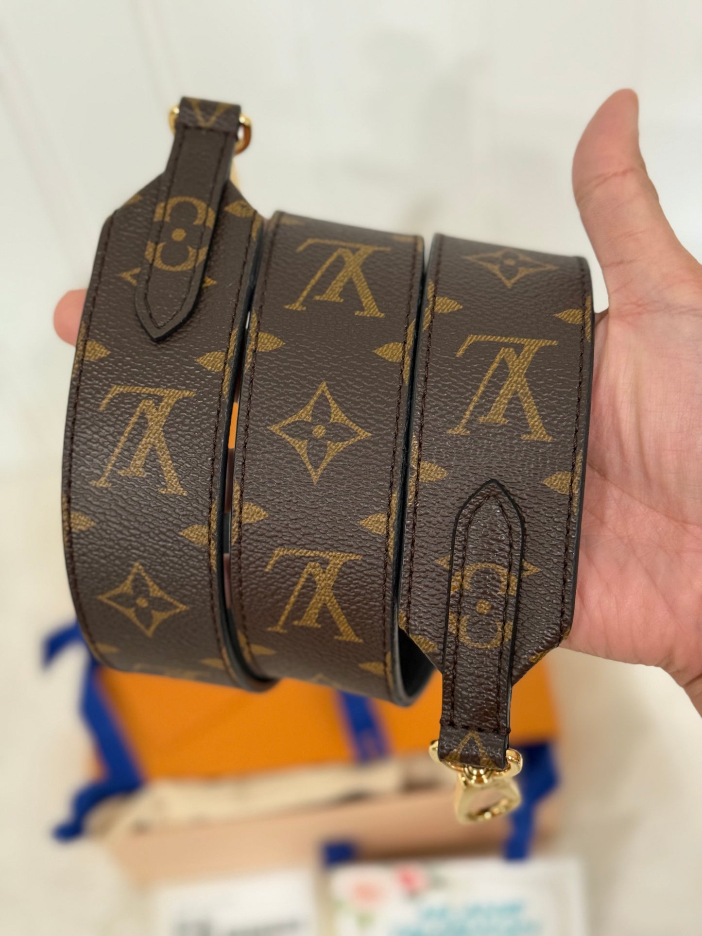 Louis Vuitton Bandouliere Noir/Black J02288