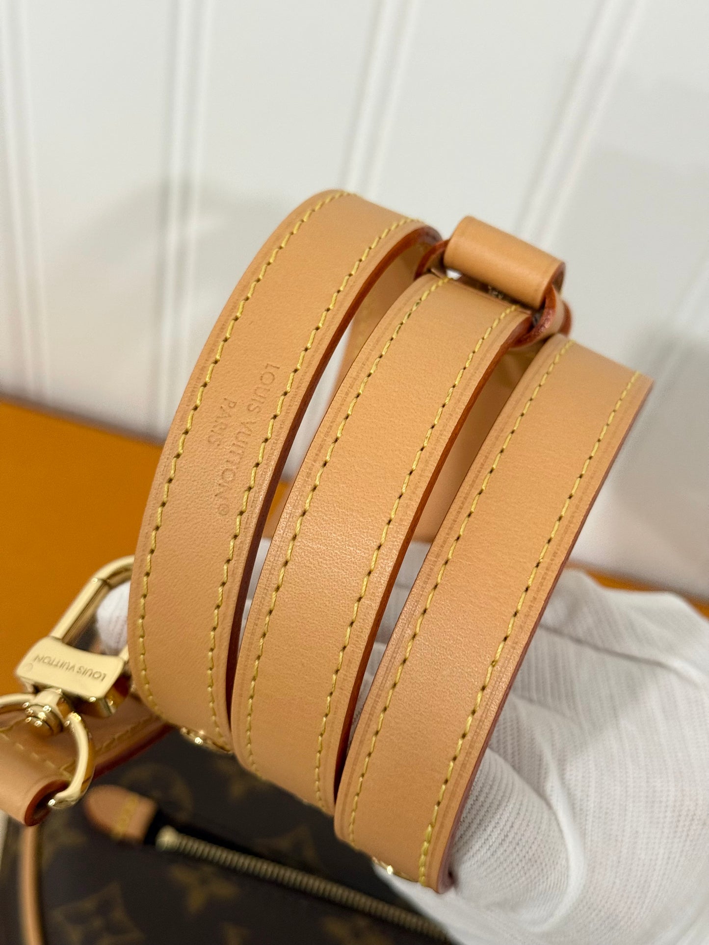 Louis Vuitton Loop PM Mono