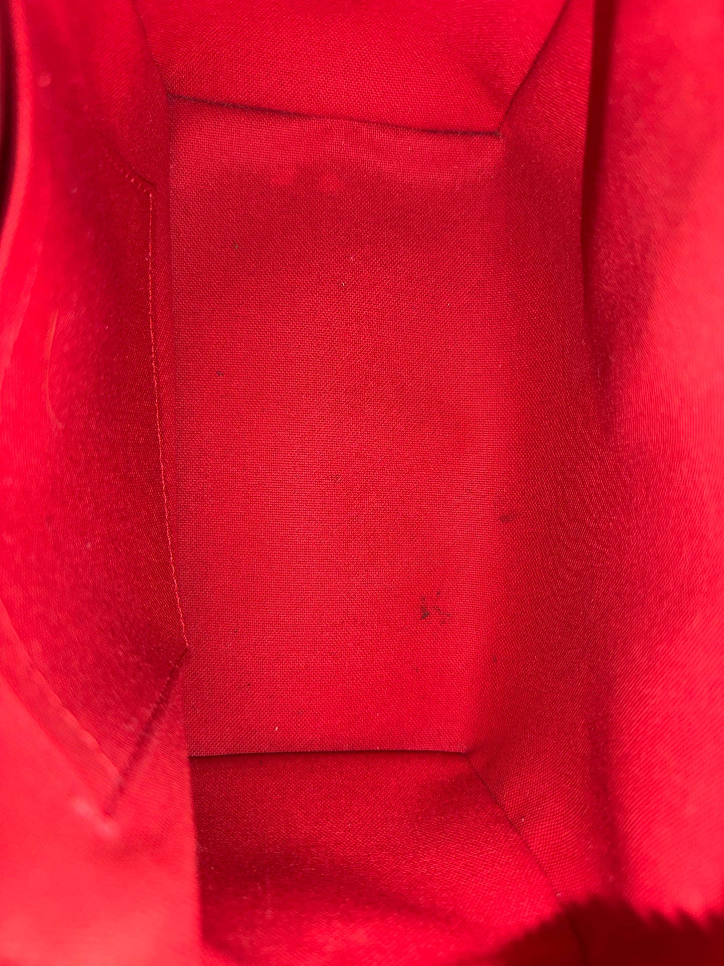 Louis Vuitton Speedy 20 Mono Bag Only