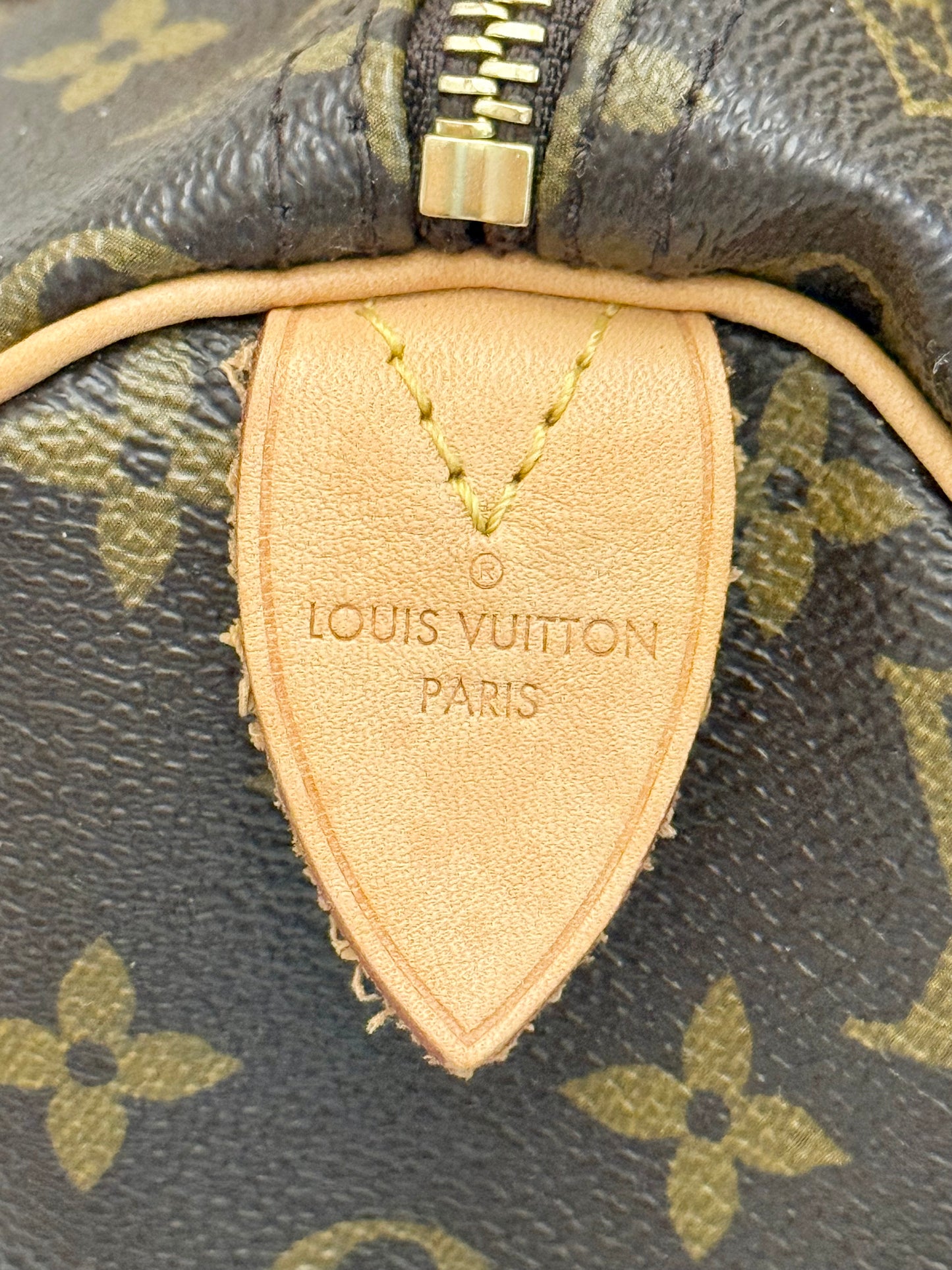 Louis Vuitton Speedy 30 Mono