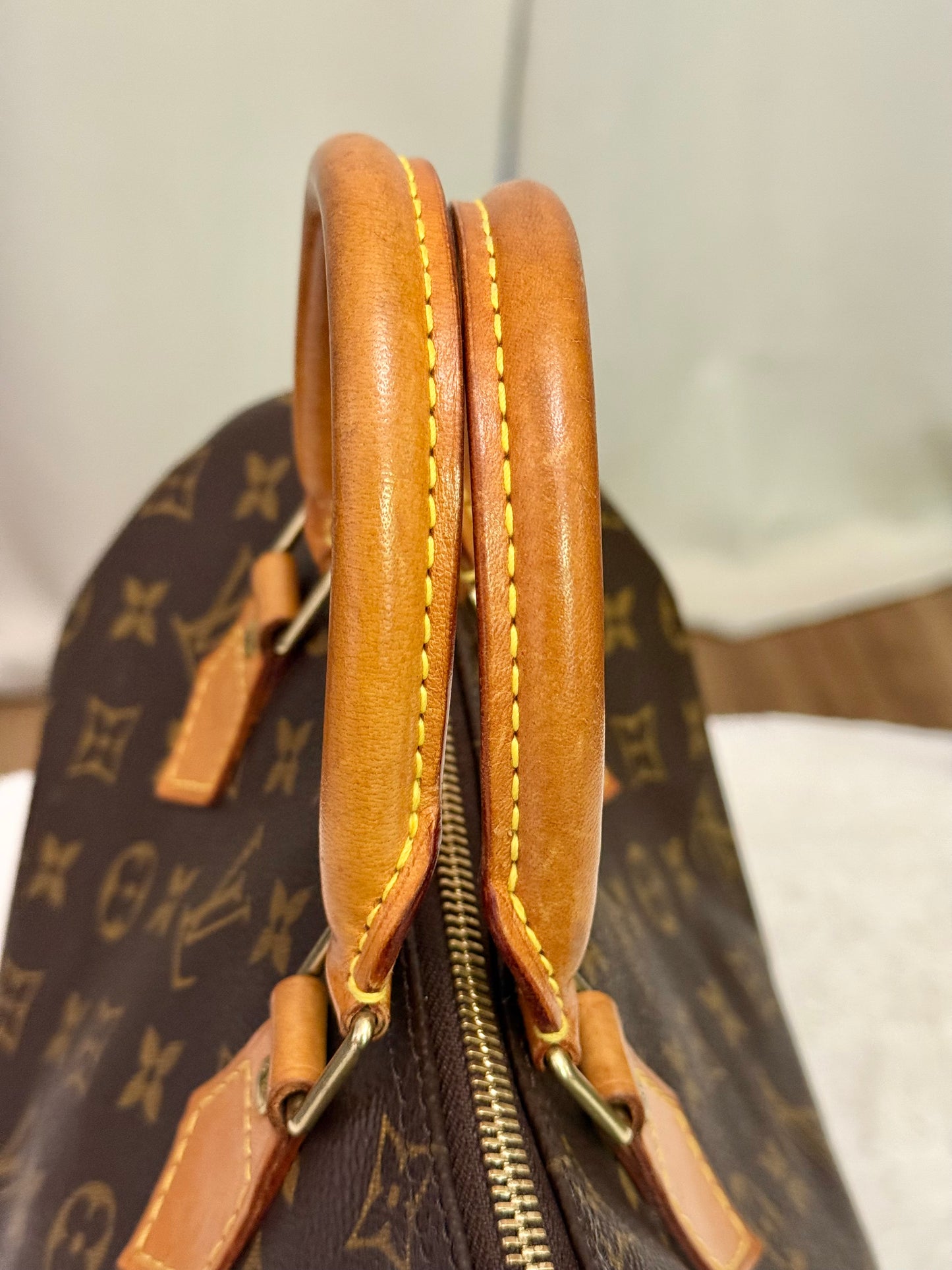 Louis Vuitton Speedy 25 Mono