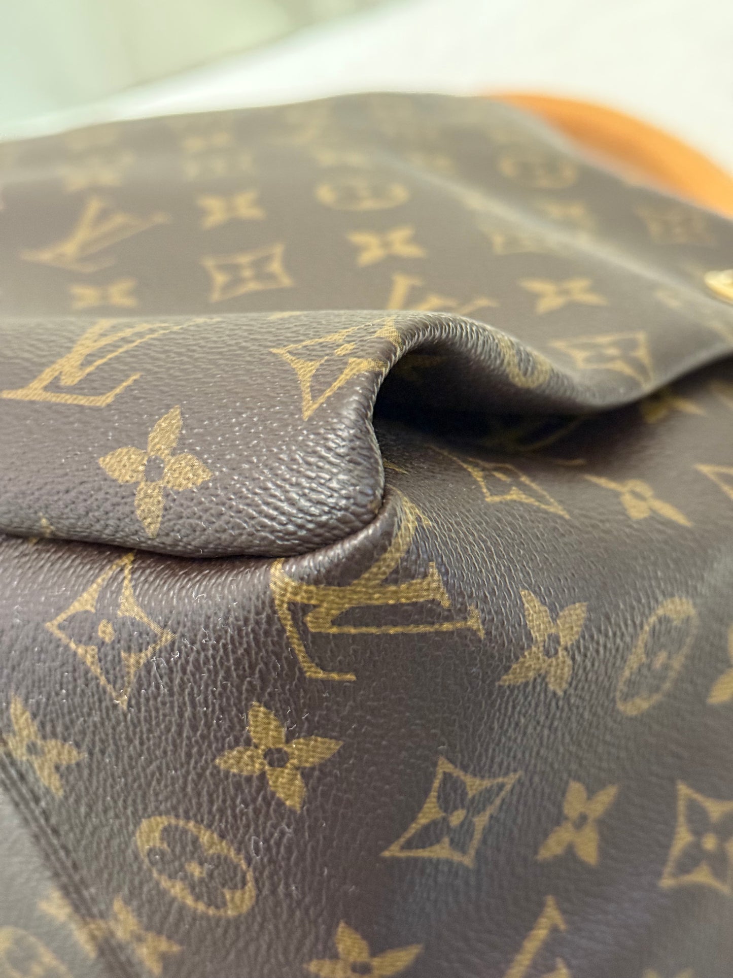 Louis Vuitton Artsy MM Mono