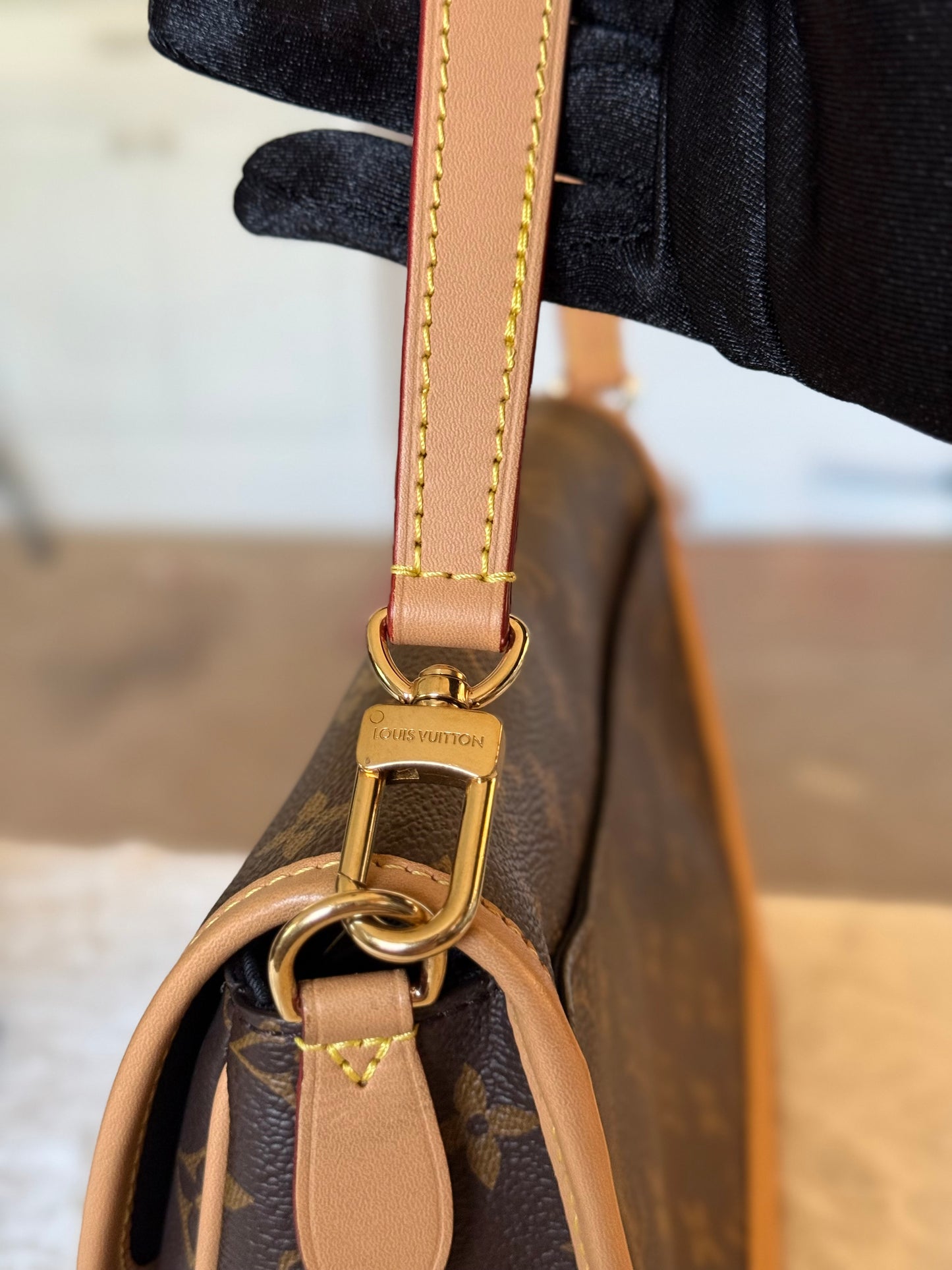 Louis Vuitton Diane Mono with Shoulder Strap