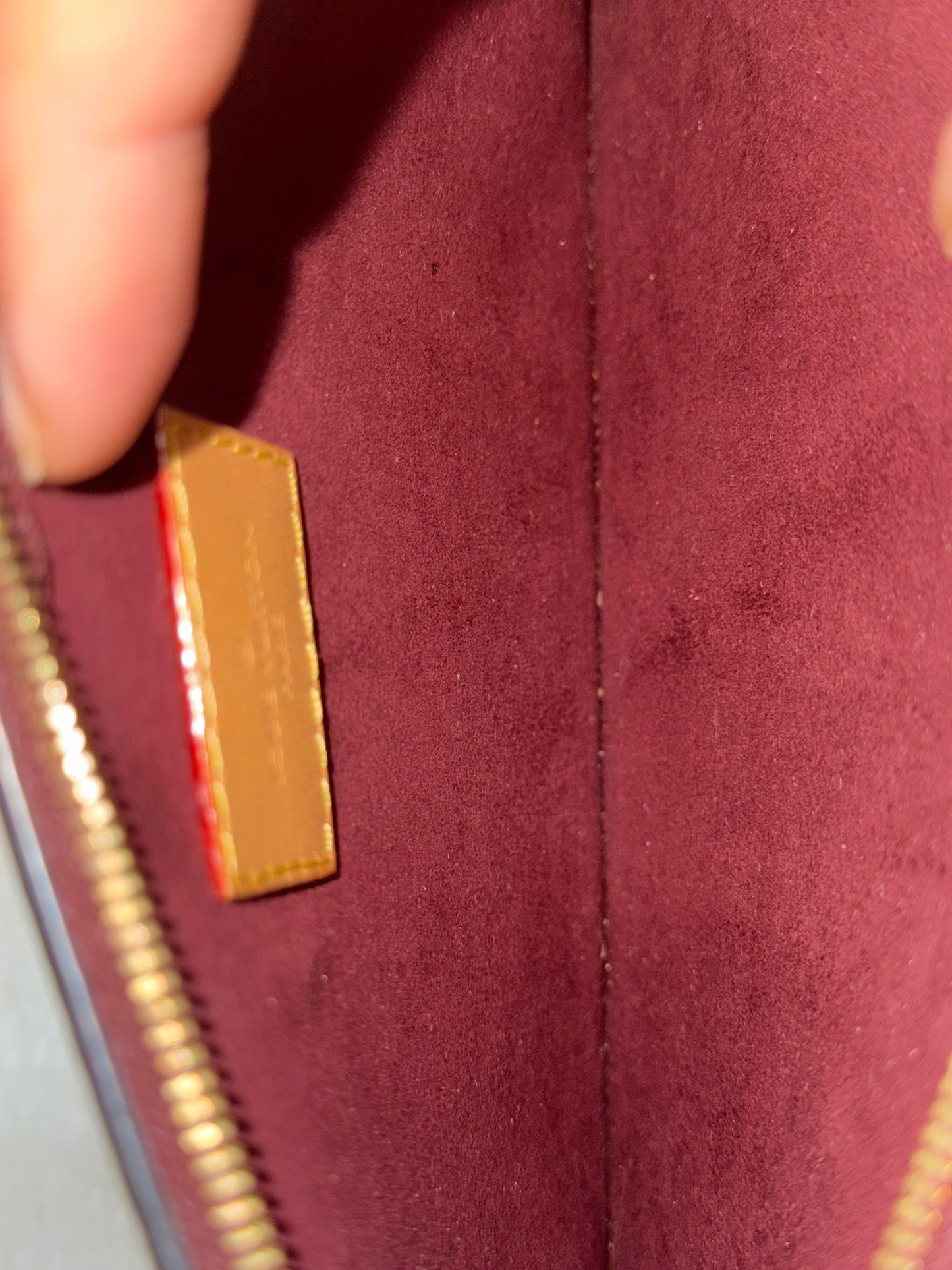 Louis Vuitton Carryall PM Pouch Mono