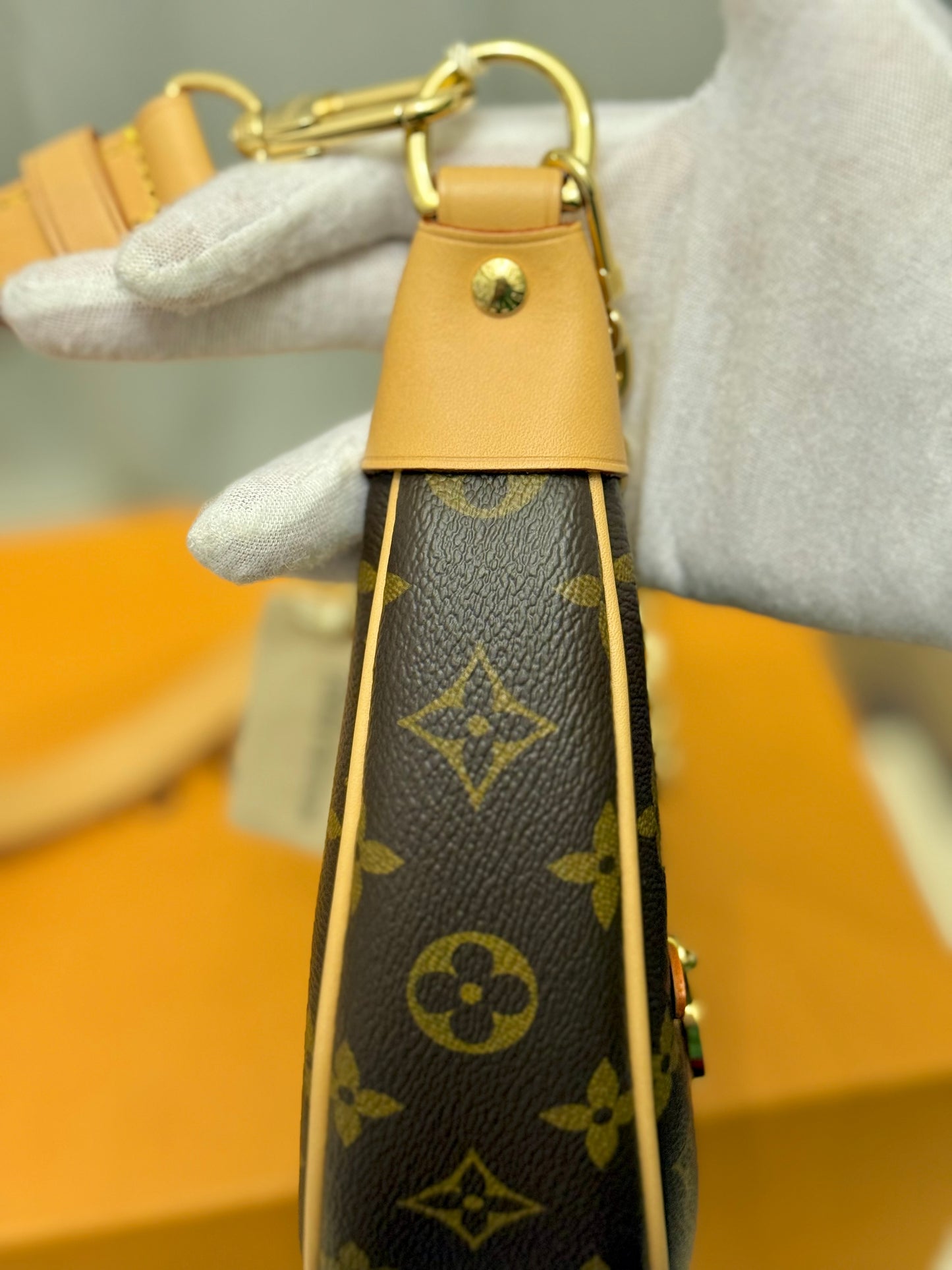 Louis Vuitton Loop PM Mono