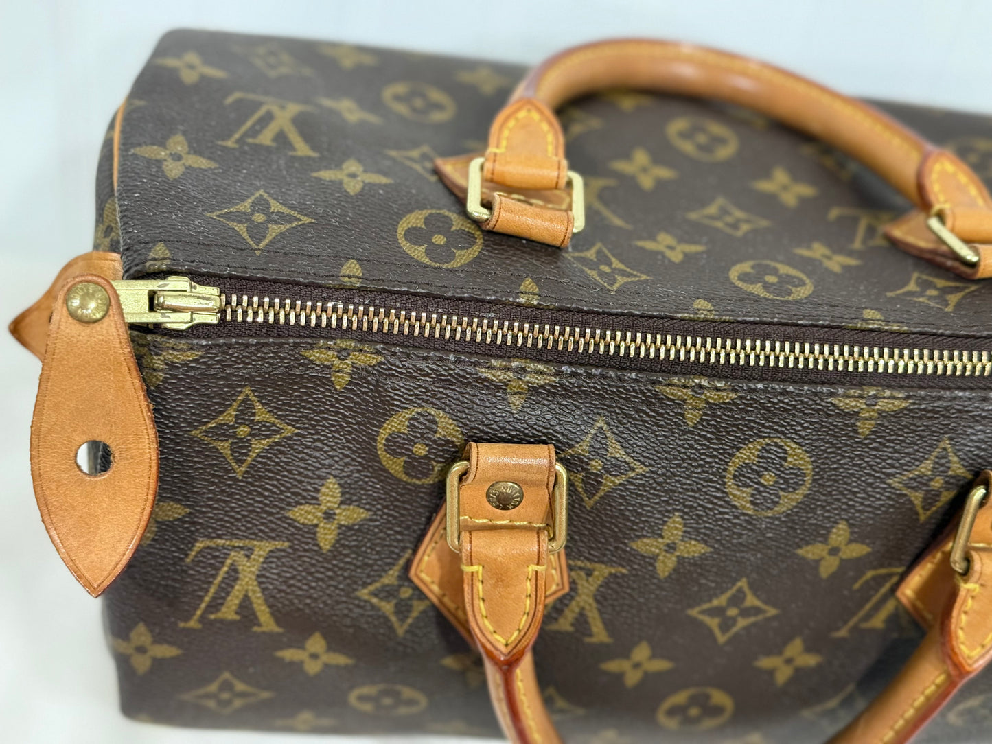 Louis Vuitton Speedy 30 Mono