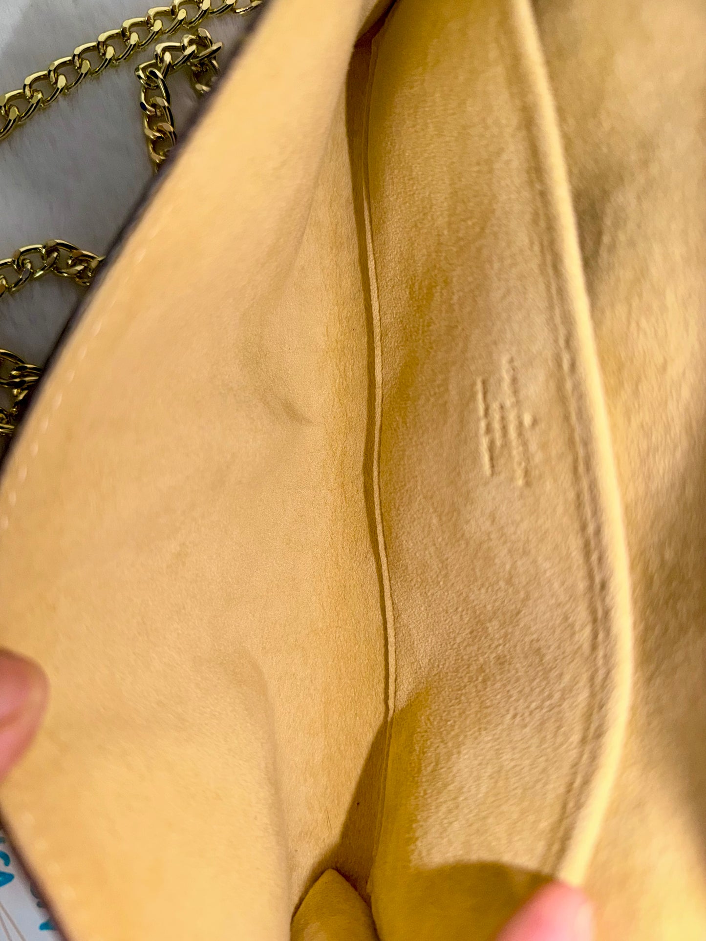 Louis Vuitton Twin Pochette GM Mono